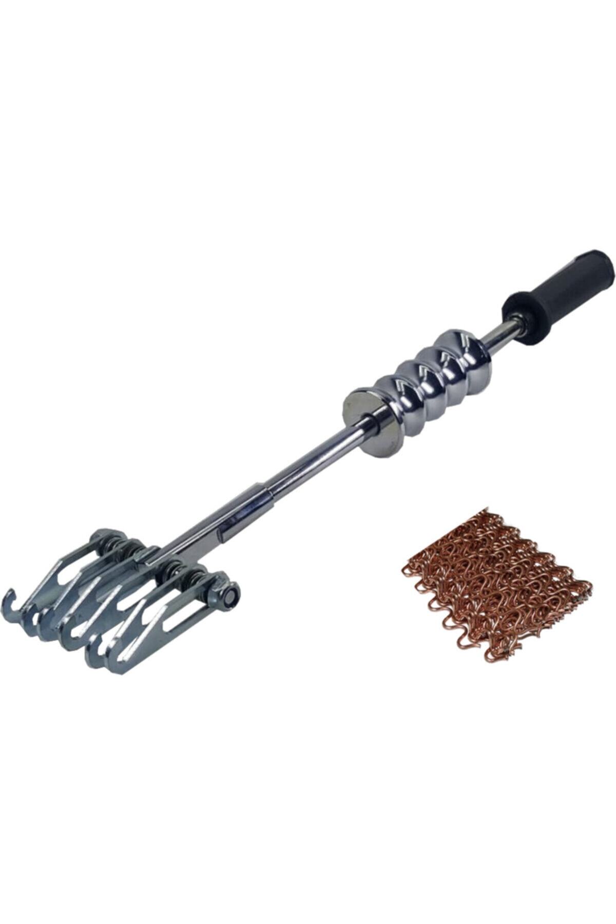 GRAYZER Aslan Pençesi