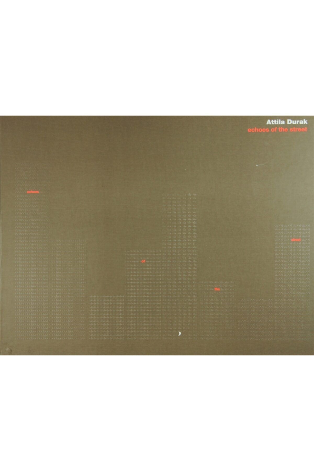 Galeri Artist Echoes Of The Street - Atilla Durak 9789753429047