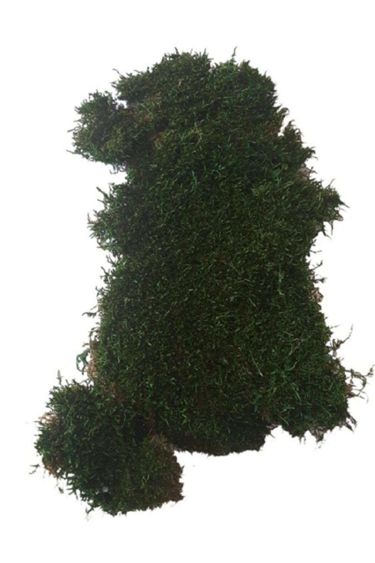 ALAÇATI HEDİYELİK Yeşil Boyalı Doğal Yosun
