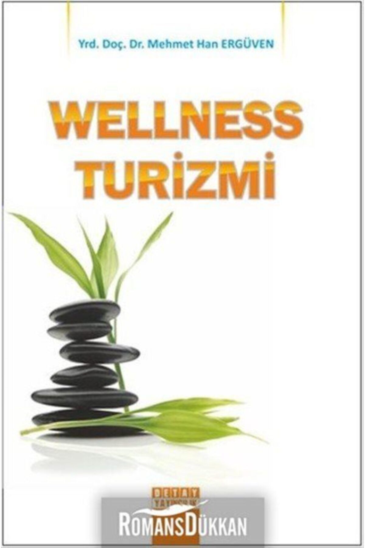Detay Yayıncılık Wellness Turizmi
