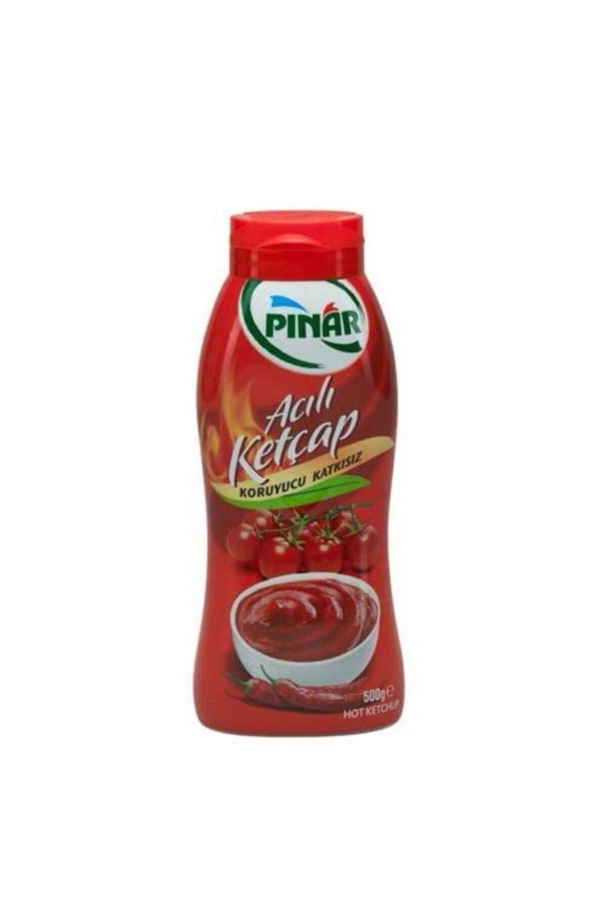 Pınar Ketçap Acılı 500 gr
