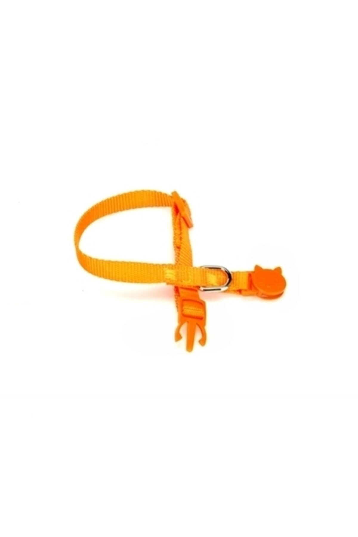 Doggie Kedi Boyun Tasması 1 Cm X 30 Cm Turuncu
