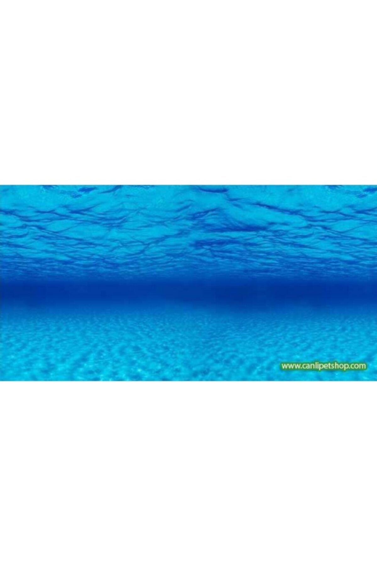 TROPİKAL Arka Fon (sudaki Derinlik) 50 Cm / Uzunluk Yükseklik 30 Cm