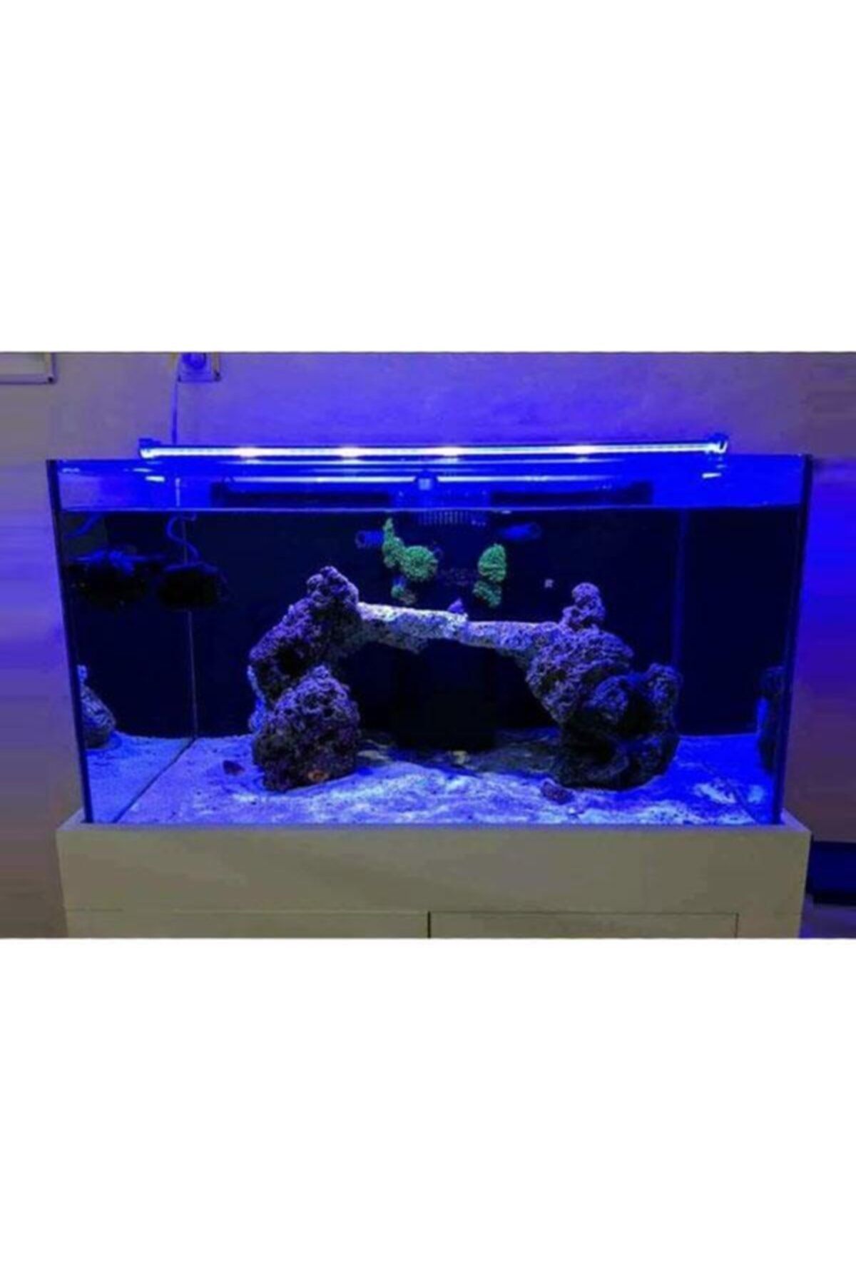 spectra mavi renk akvaryum led aydinlatma royal 90 cm fiyati yorumlari trendyol