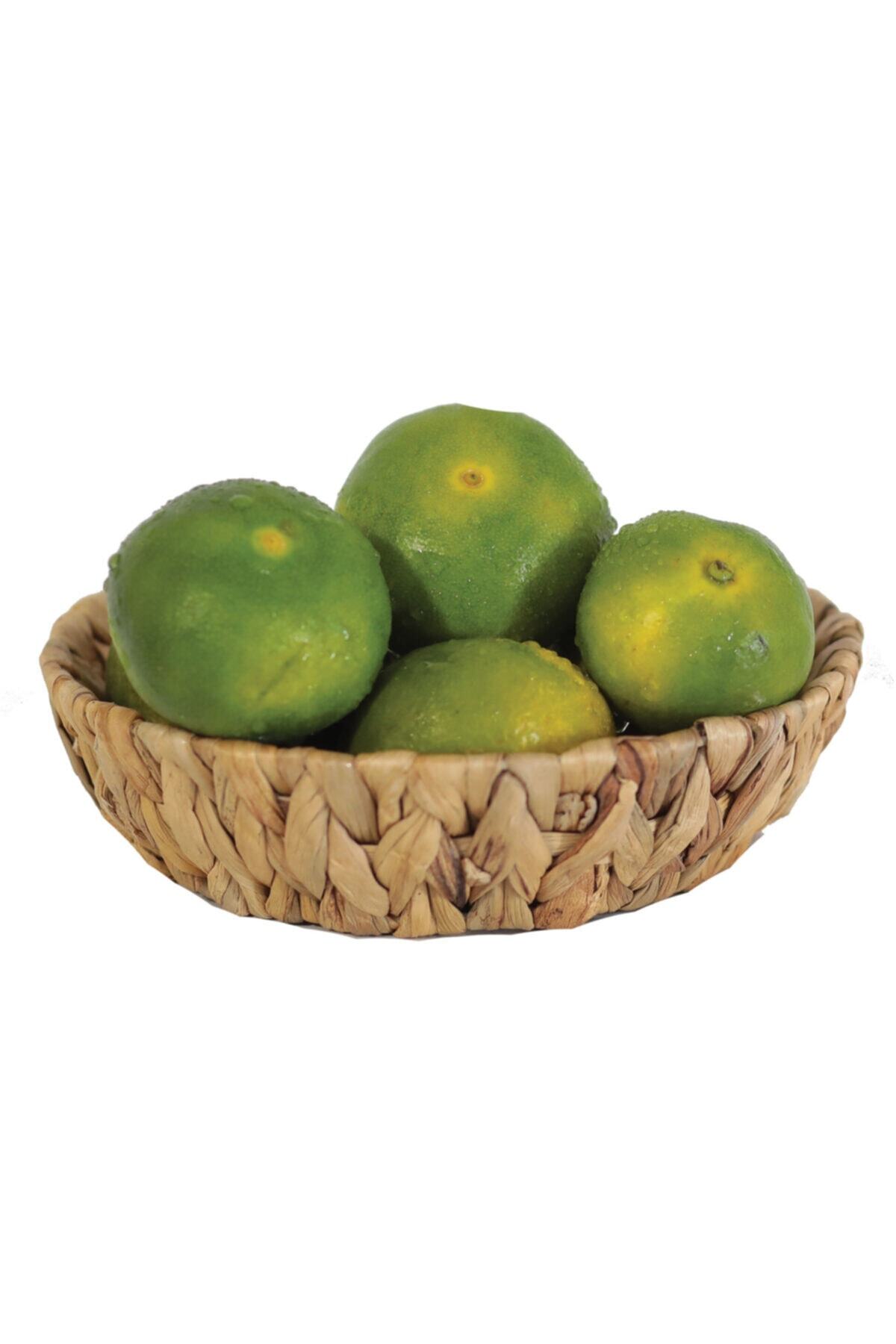 Doğalkasa Mandalina 1 kg