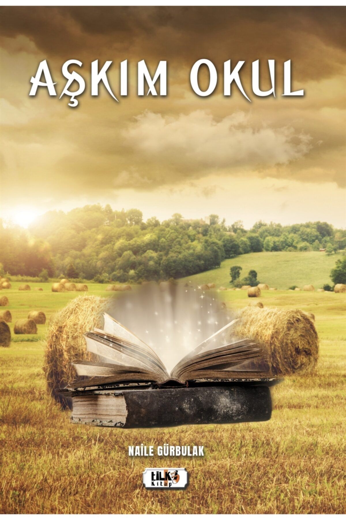 Tilki Kitap Aşkım Okul - Naile Gürbulak 9786257942928