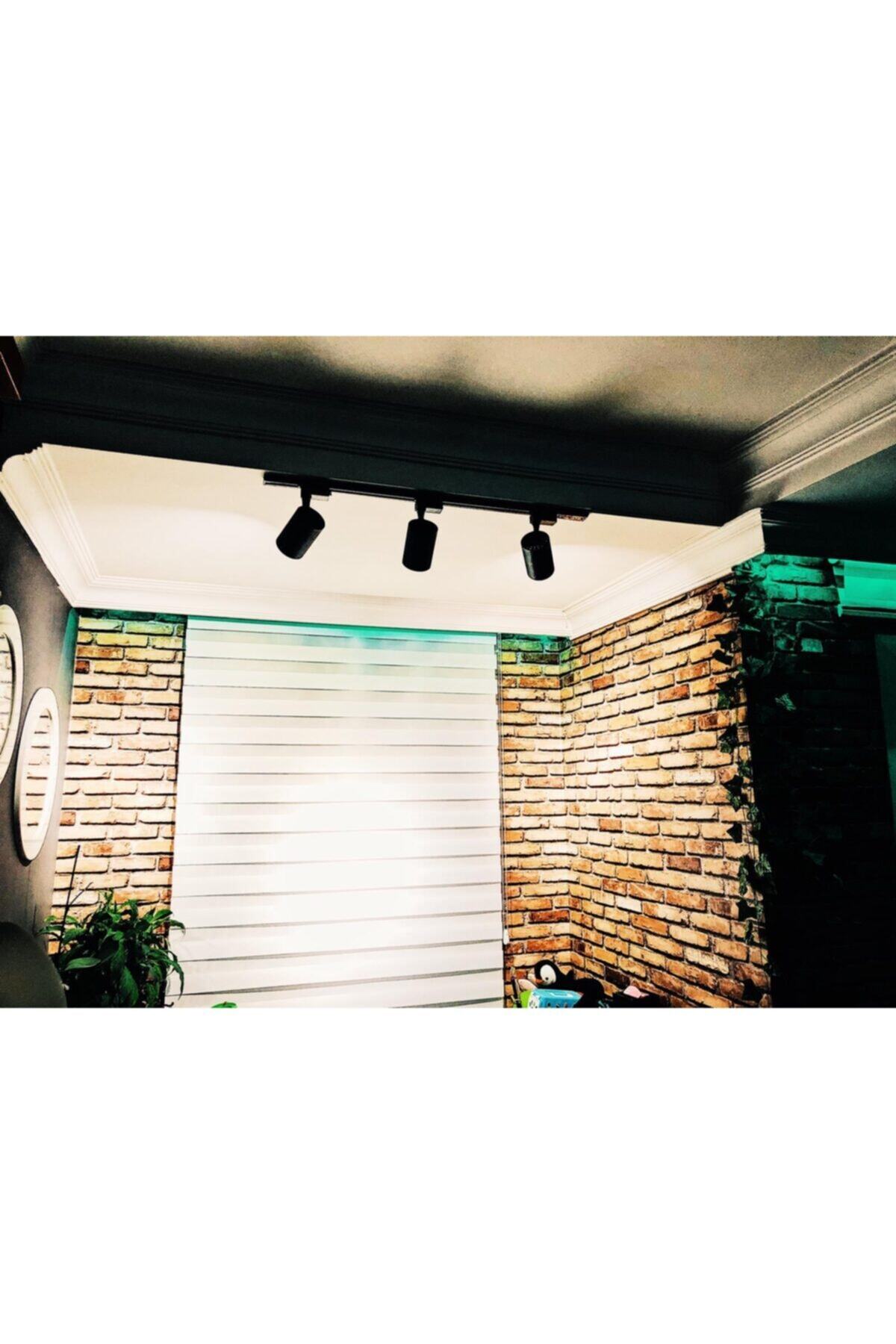 Penta 30 Watt Led Ray Spot 3 Adet 1 Metre Monofaze Ray Hediyeli Siyah Kasa