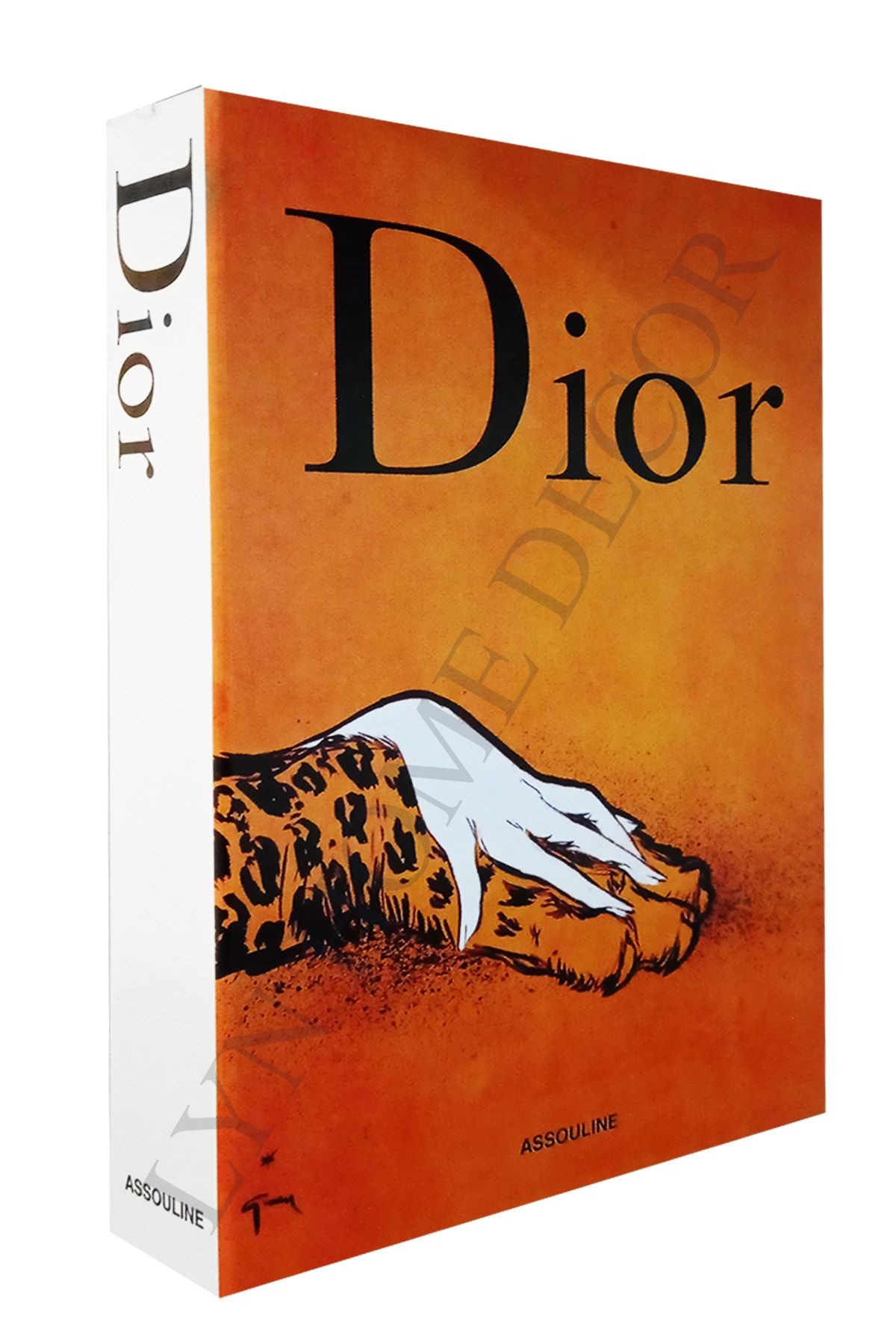 LYN HOME & DECOR Dior Aslan&woman Dekoratif Kitap Kutu