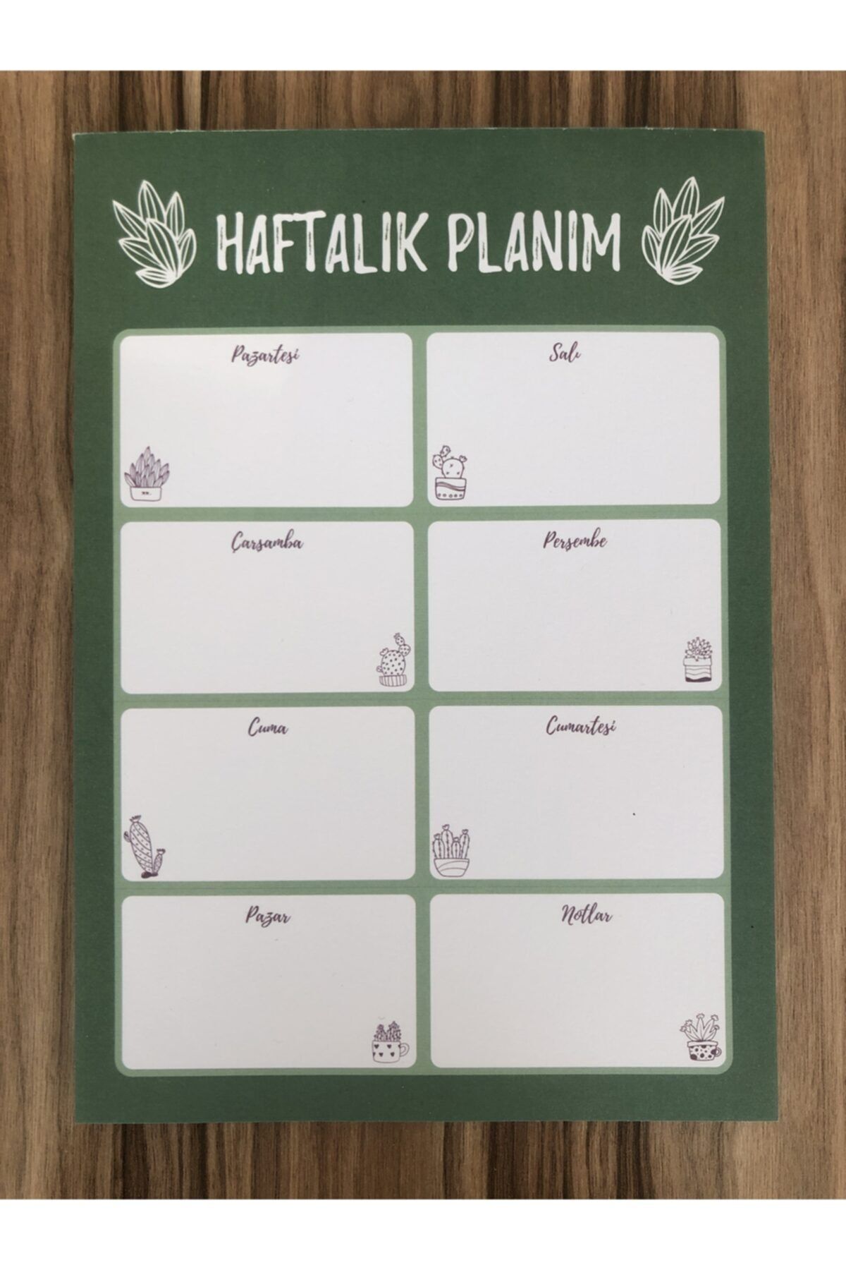 Papiro Kaktüs Haftalık Planlayıcı