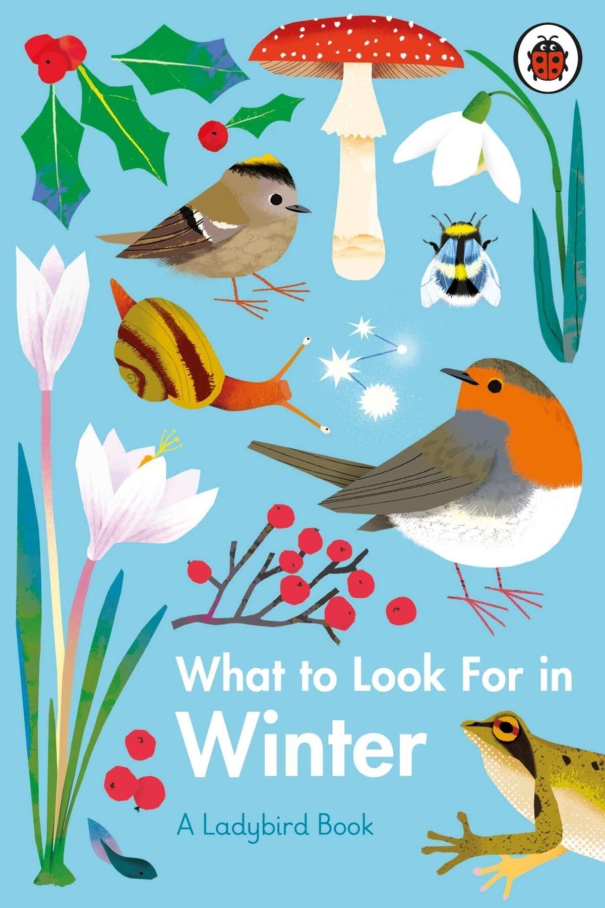 Ladybird Book What To Look For In Winter