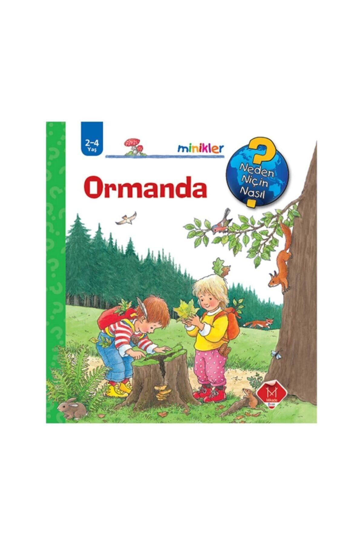 Mikado Yayınları Ormanda / Neden, Niçin, Nasıl  Serisi