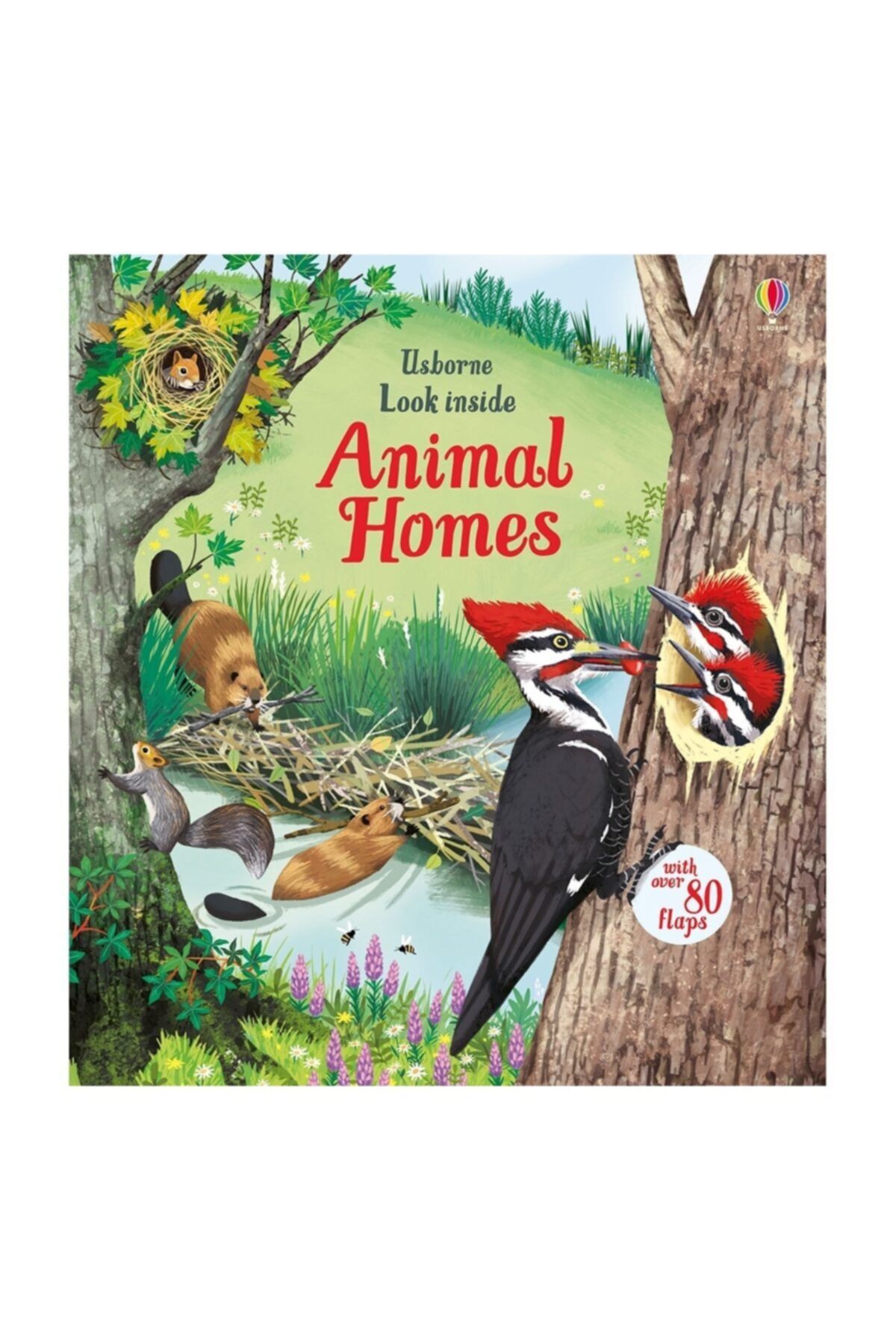 Usborne Look Inside Animal Homes