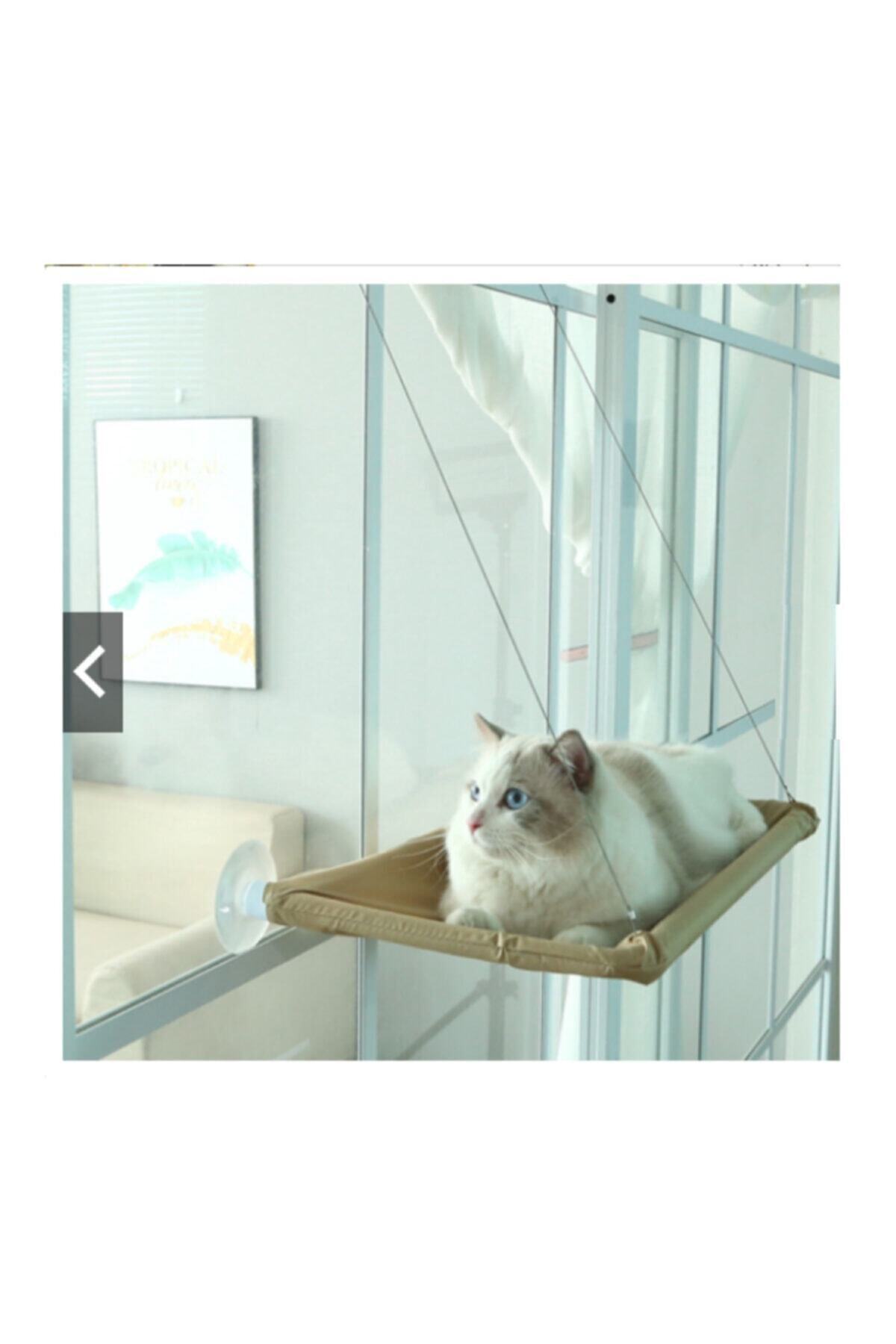 Ankaflex Kedi Uyku Yatağı Cama Asılan Kedi Minderi
