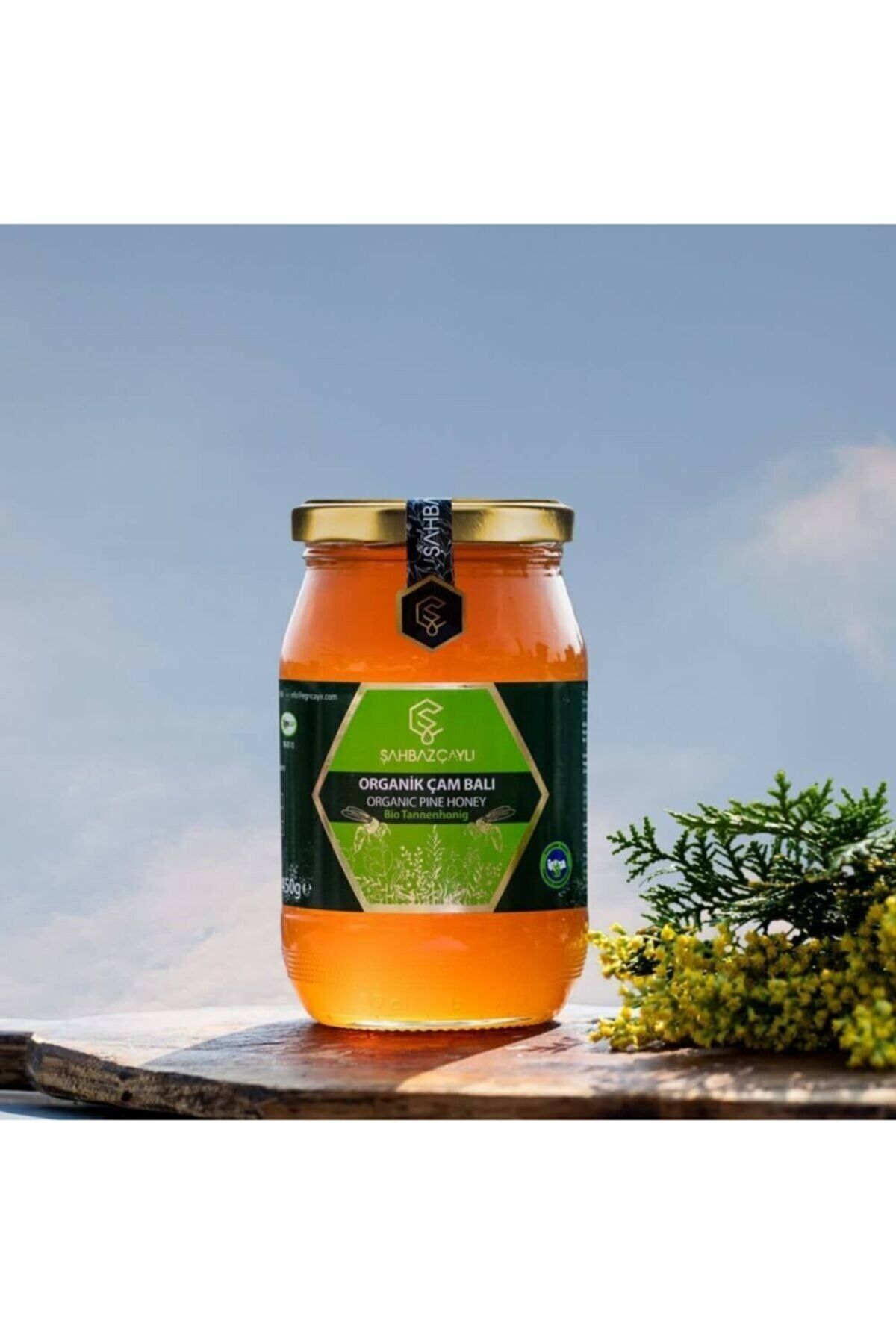 Şahbaz Çaylı Organik Çam Balı 450g