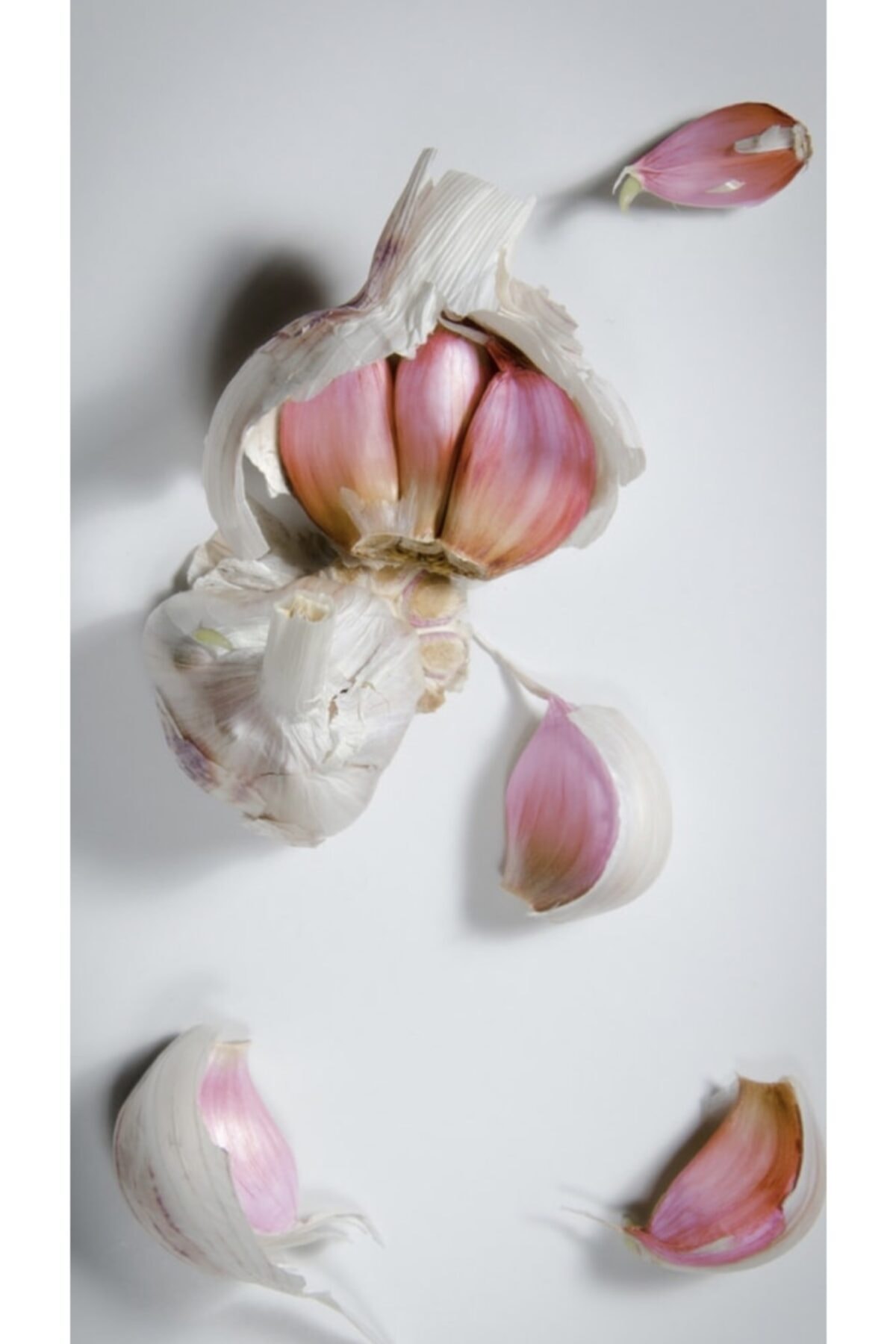 Taşköprü Sarımsağı Kastamonu 1 Kg