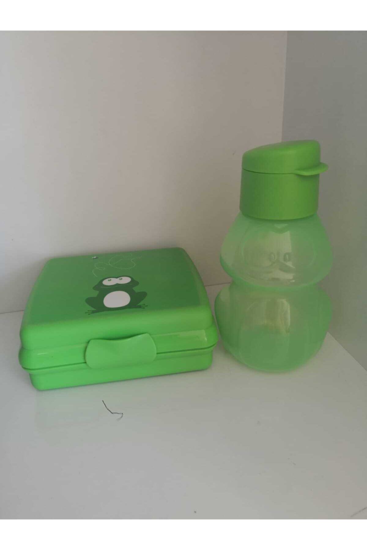 Tupperware Dino Figürlü Şişe 350 ml ve Beslenme Cüzdanı