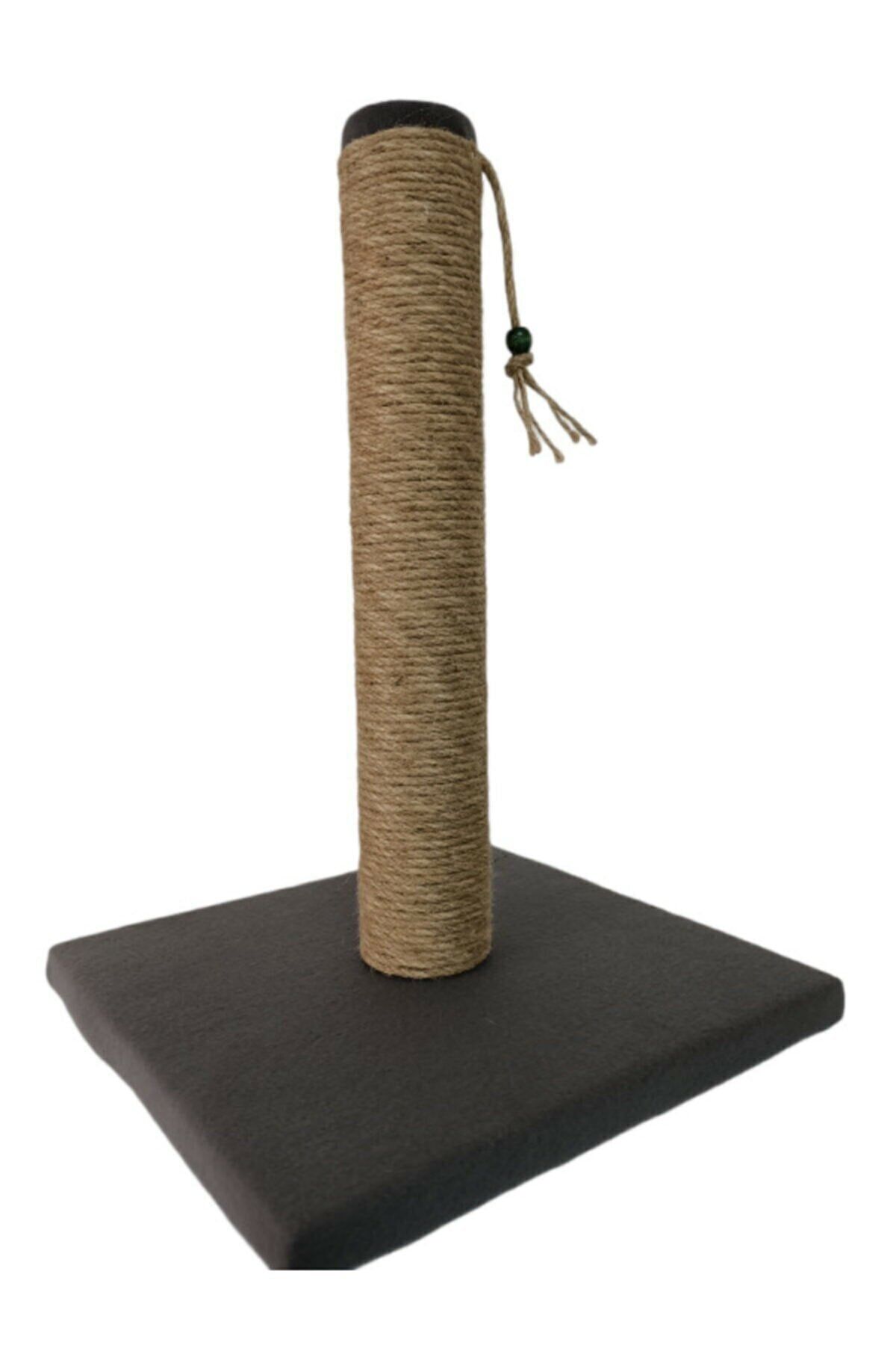 sempatii Kedi Tırmalaması 42x30x30cm