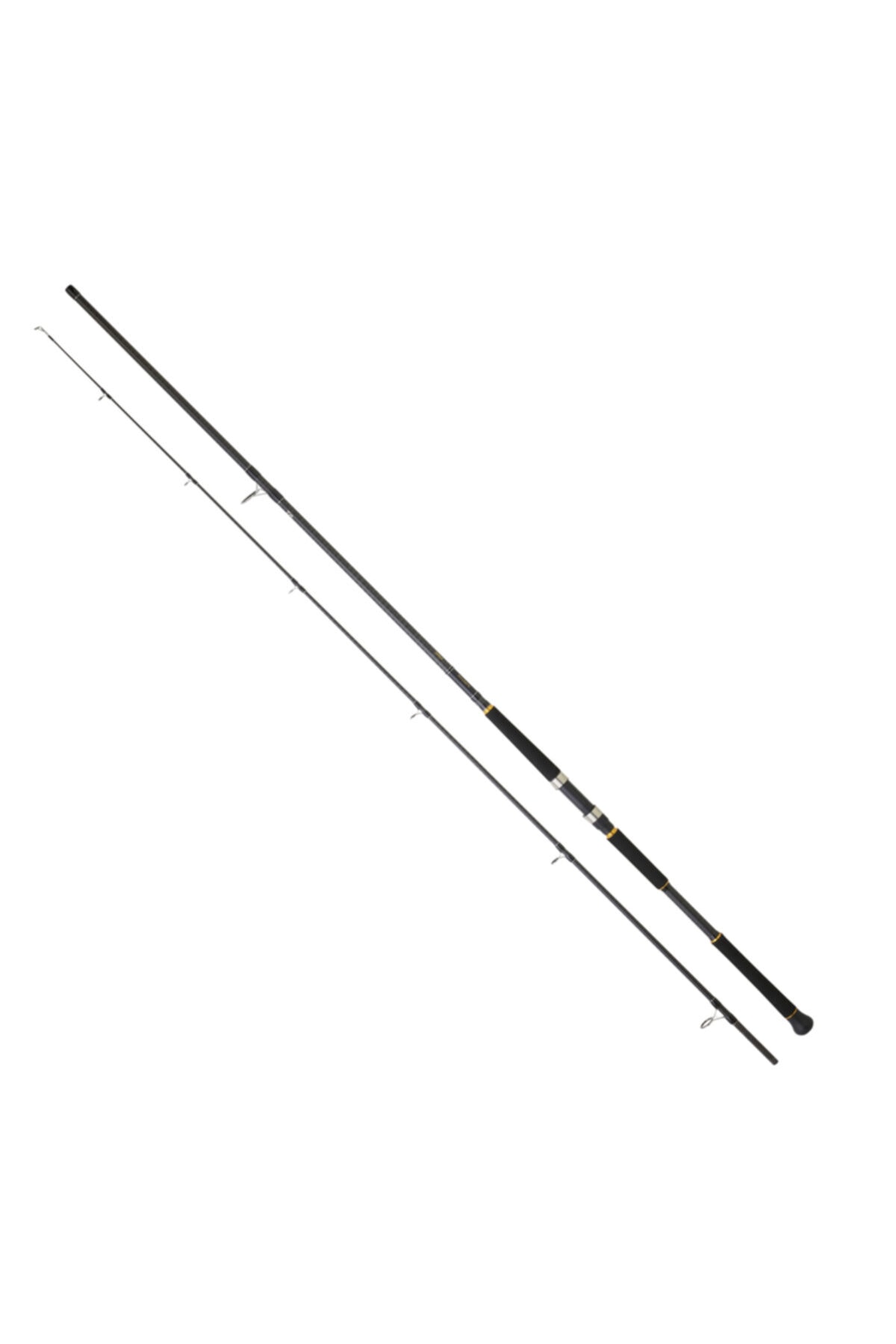 DAIWA New Legalis 2.90m 28-84gr 2p Shore Jig Olta Kamışı