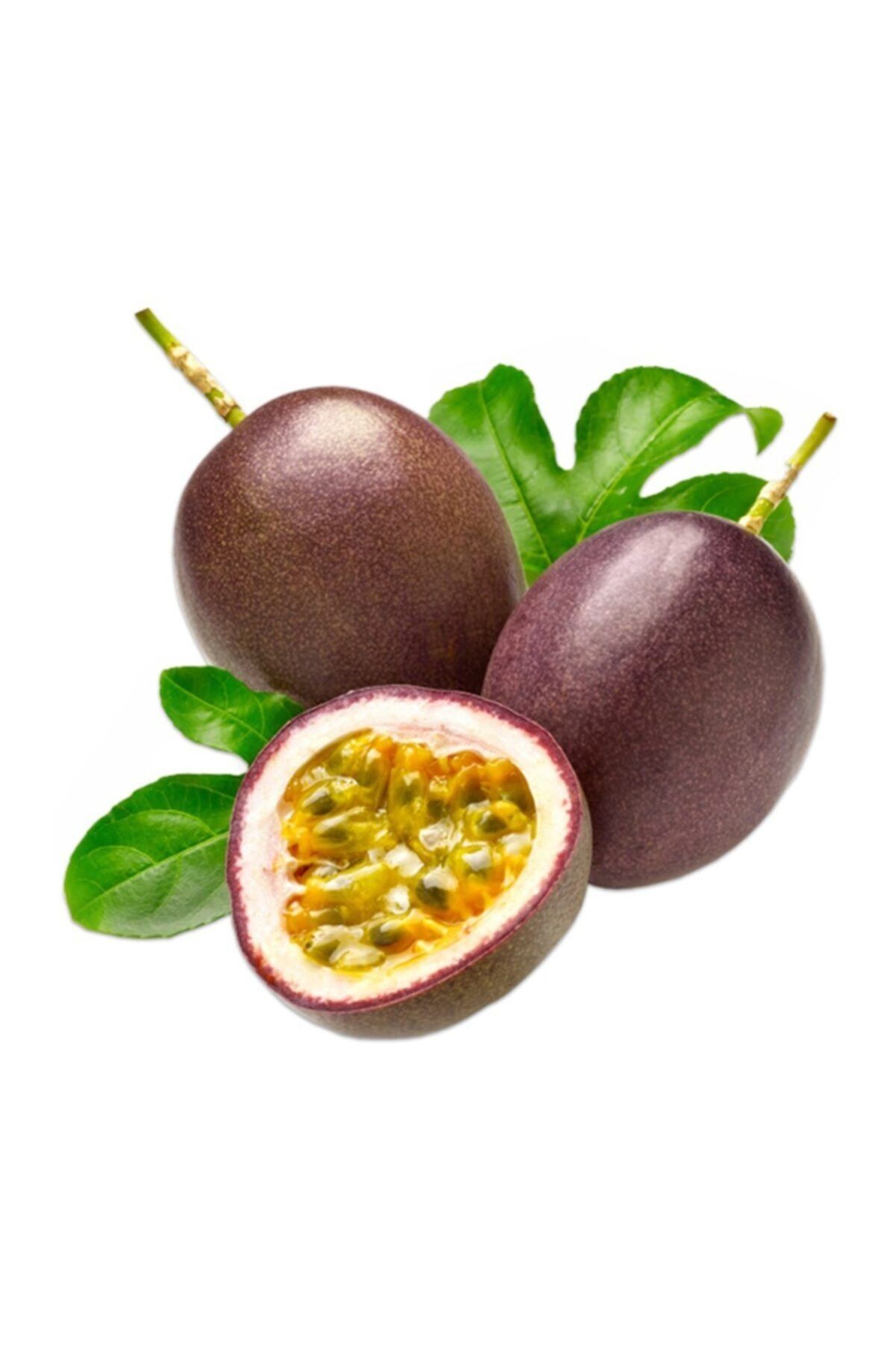 Sebze Meyve Dünyası Çarkıfelek130 gr