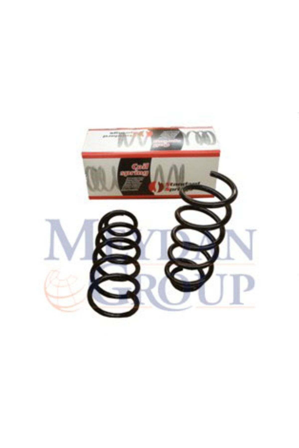 EURO BODY Volkswagen Passat- B5- 01/05; Arka Helezon Yayı Sağ/sol (2li Set) 1.6cc/1.8/1.9tdı (13,25x124) (stdr