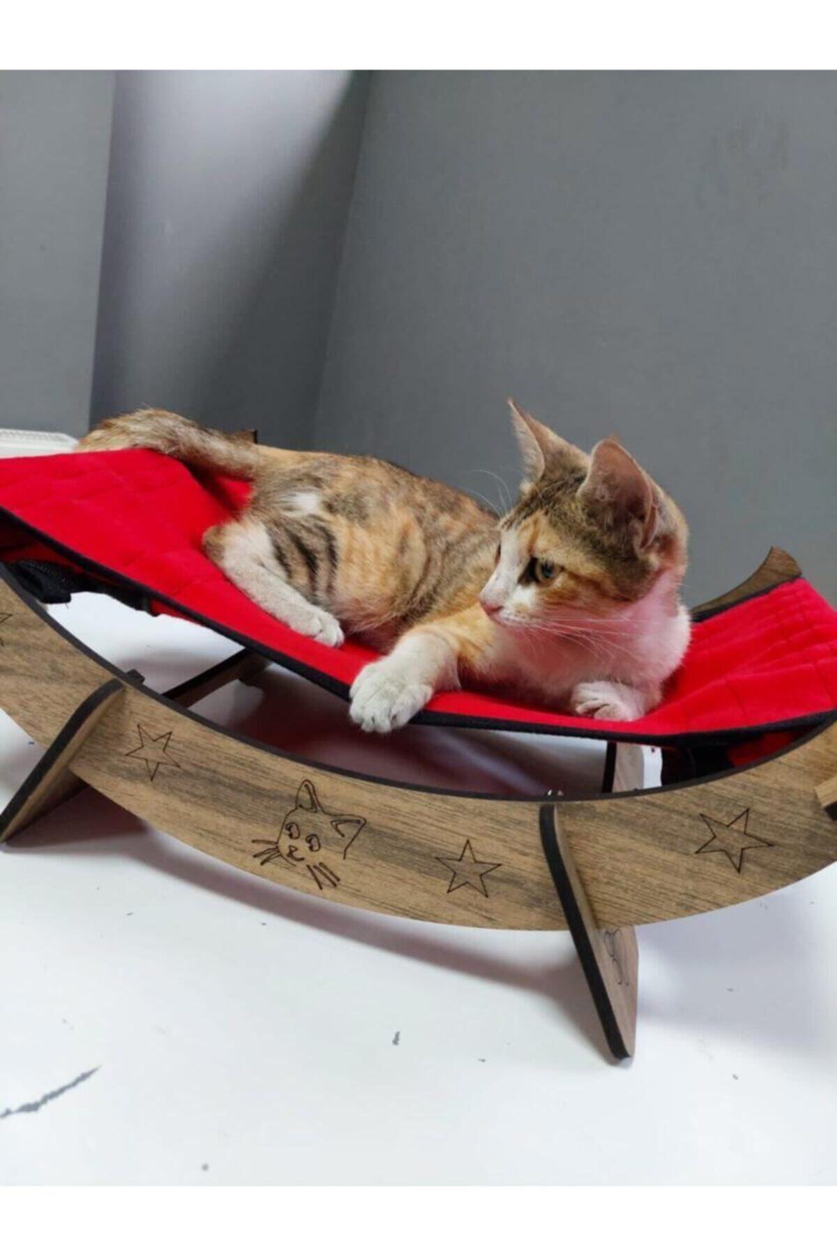 Ankaflex Kedi Evi Yavru Köpek Yatağı Kafesi Kedi Yatağı Kedi Oyuncak
