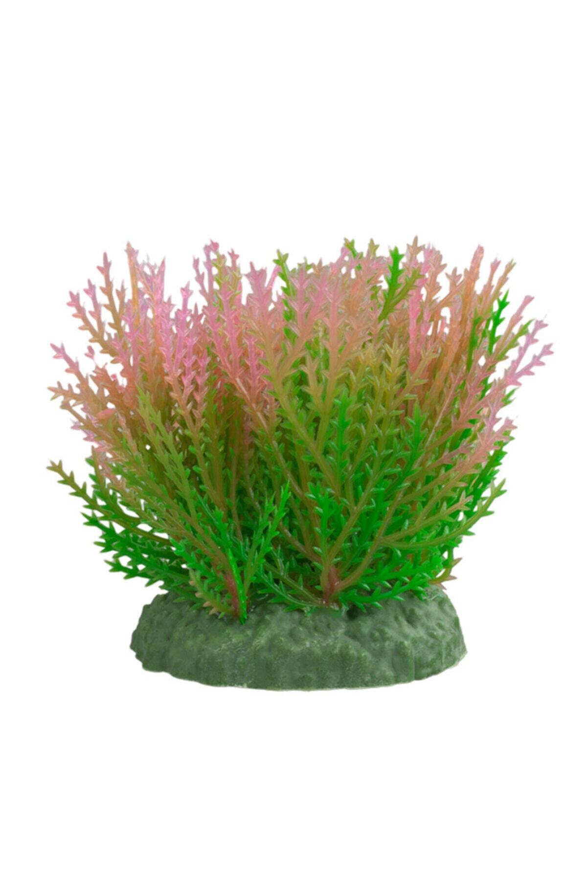 Orijin Akvaryum Plastik Bitki 7 Cm
