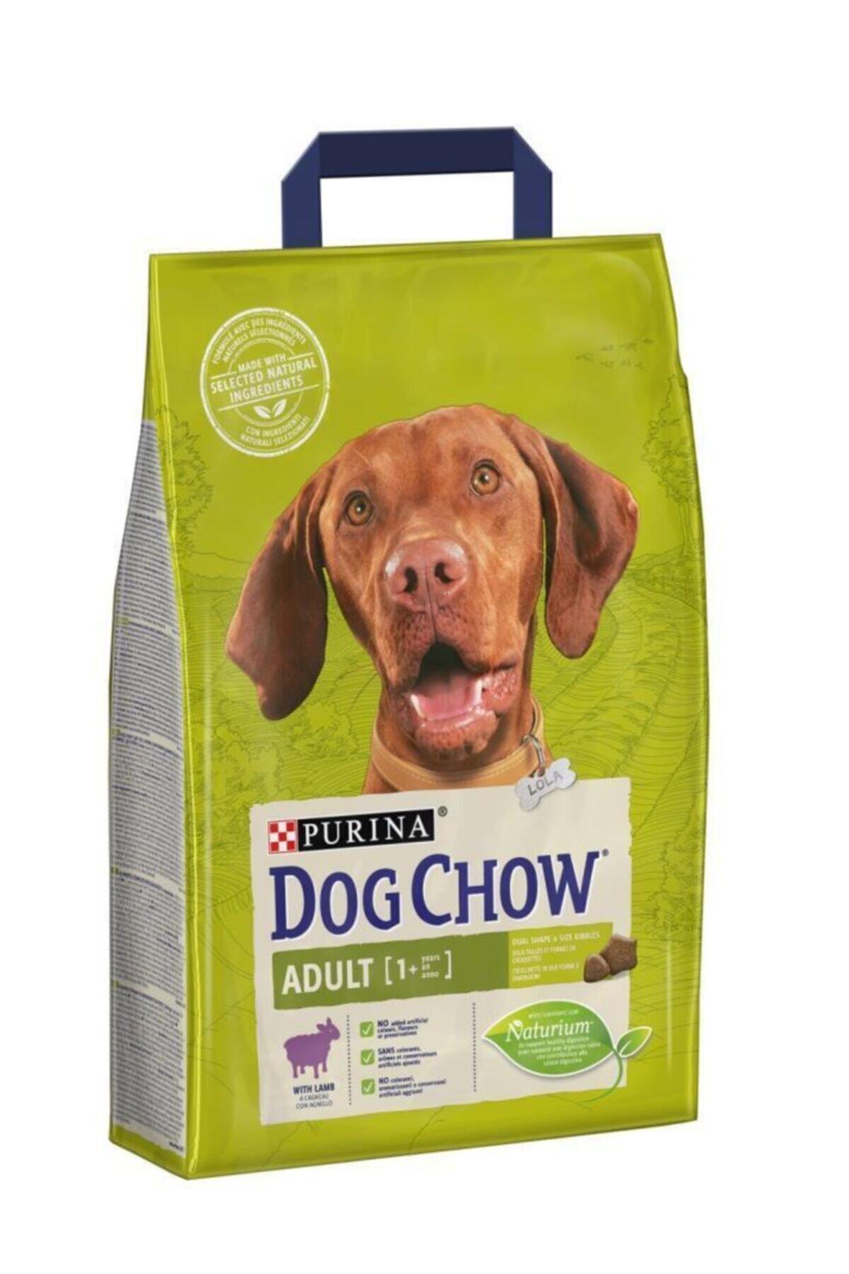Dog Chow Purina Kuzu Etli Yetişkin Köpek Maması 2,5 Kg