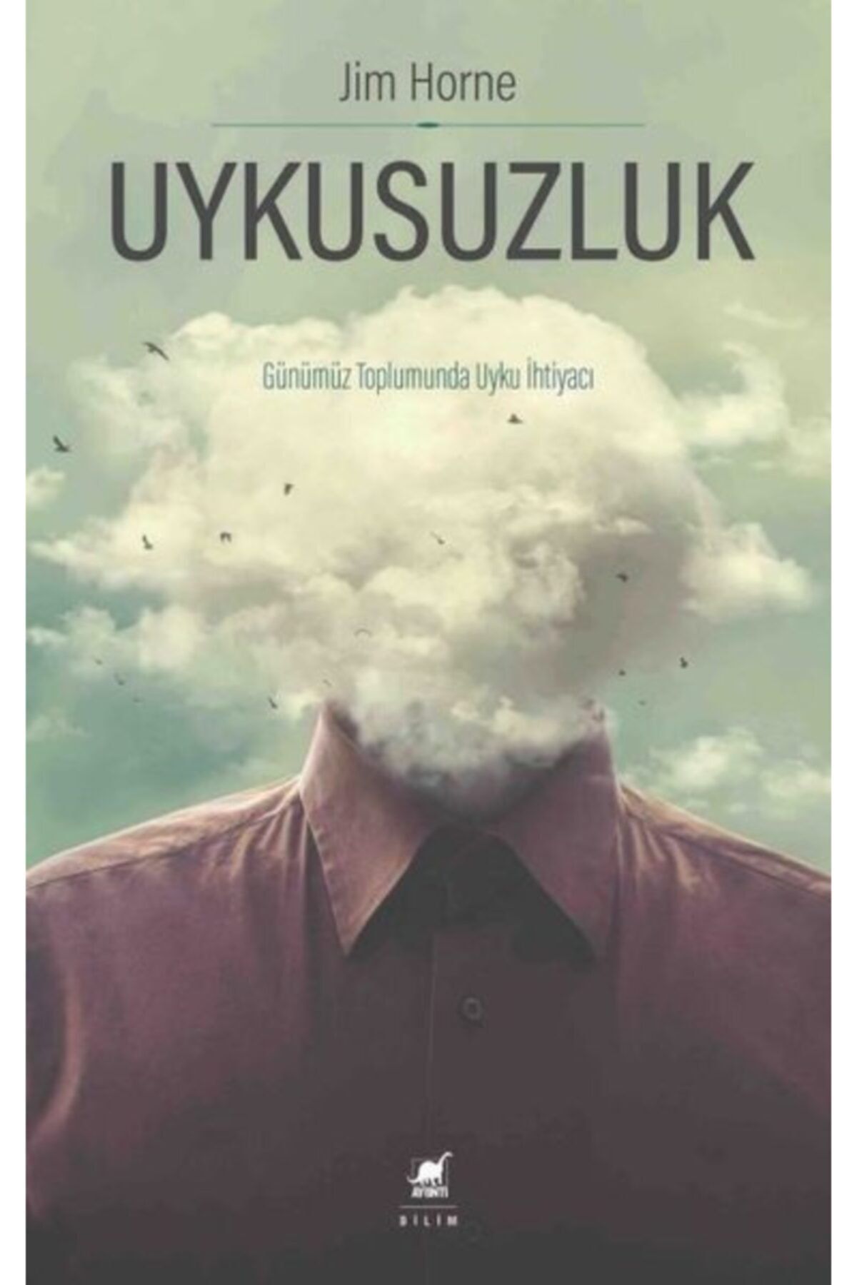 Ayrıntı Yayınları Uykusuzluk