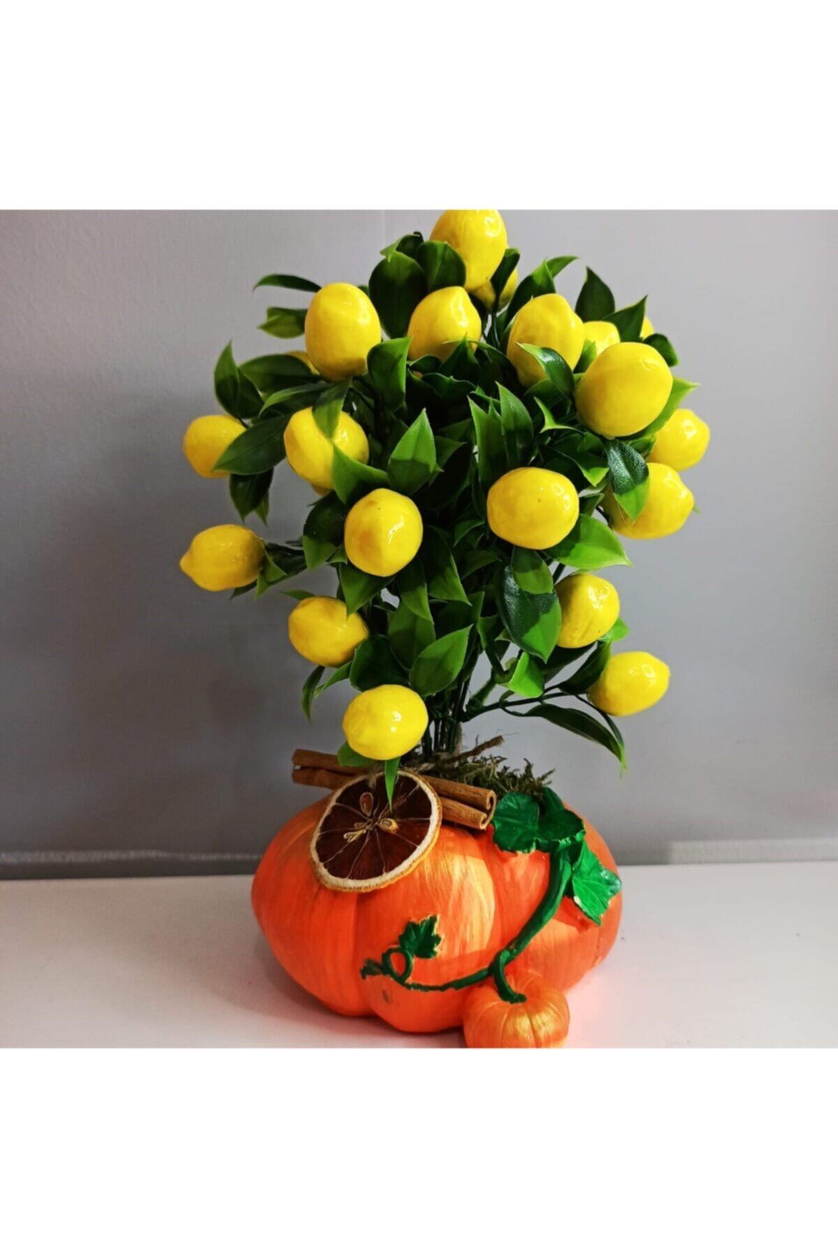 mürsel Dekoratif Kabak Saksı Içerisinde Yapay Limon Tasarımı