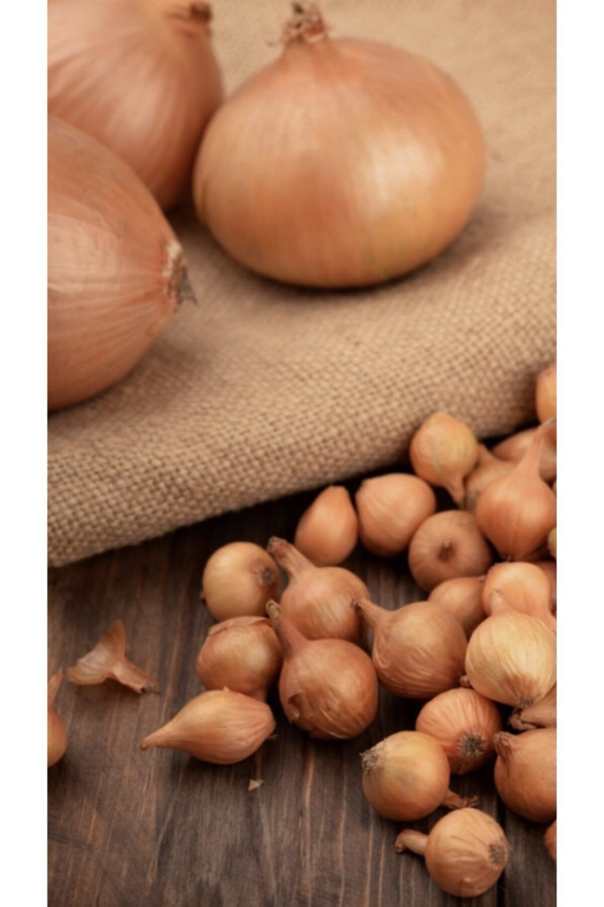 Tohumdan Dinç Arpacik Sogan - 10 kg