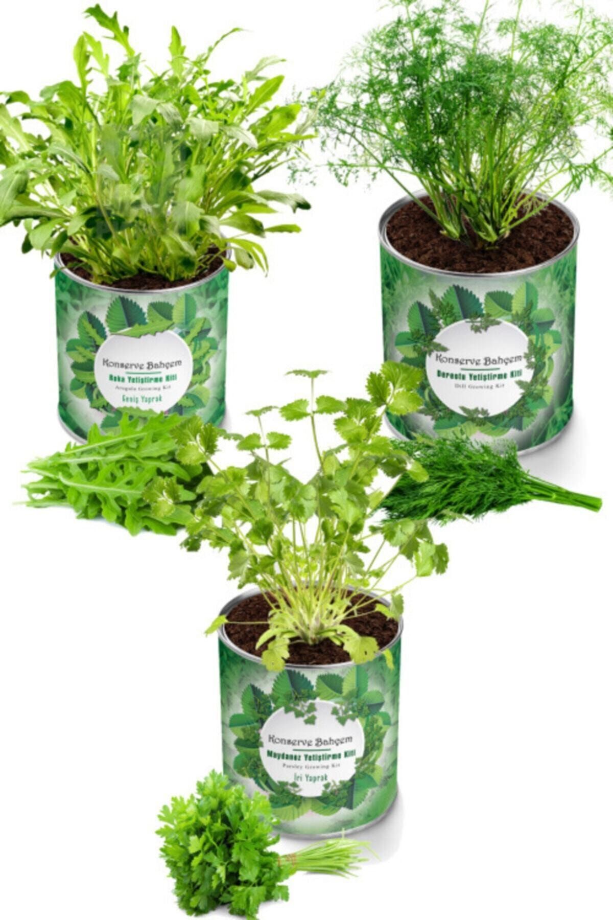 Konserve Bahçem Maydanoz + Dereotu + Roka 3 Adet Yetiştirme Kiti - Fide Yetiştirme Tohum Ve Torf