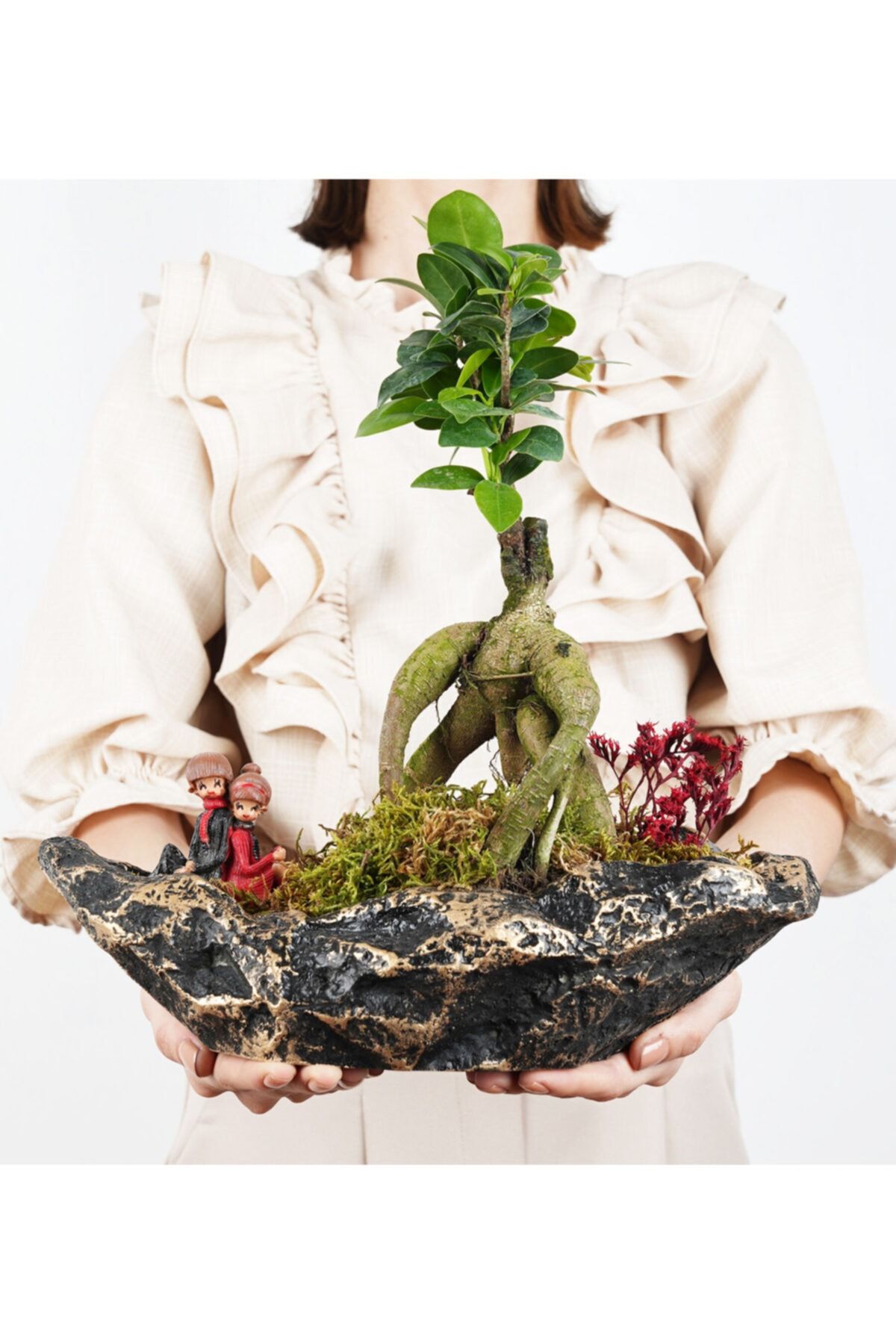 ZezeFlower Çapar Saksıda Ficus Gienseng Bonzai (siyah/altın-001)
