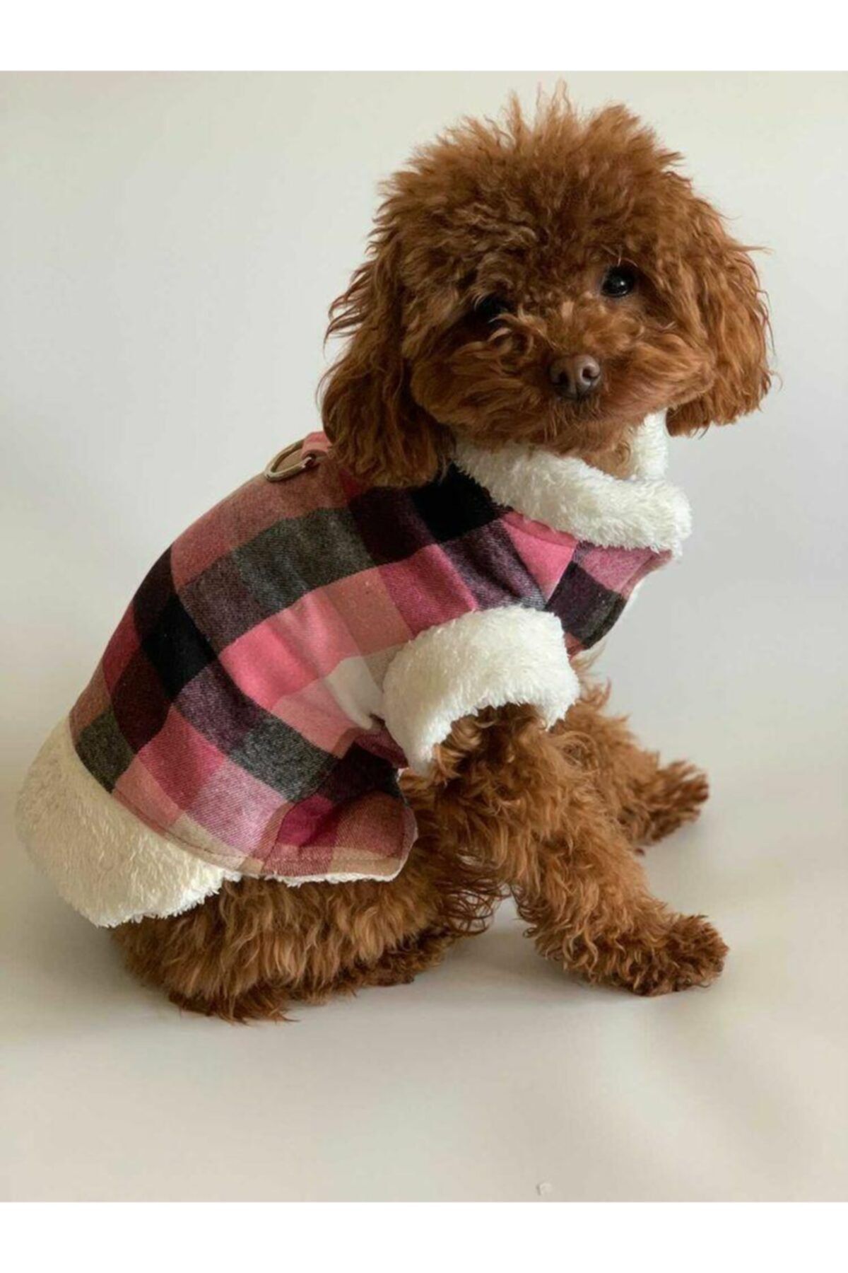 aria pet butik Köpek Mont Yelek