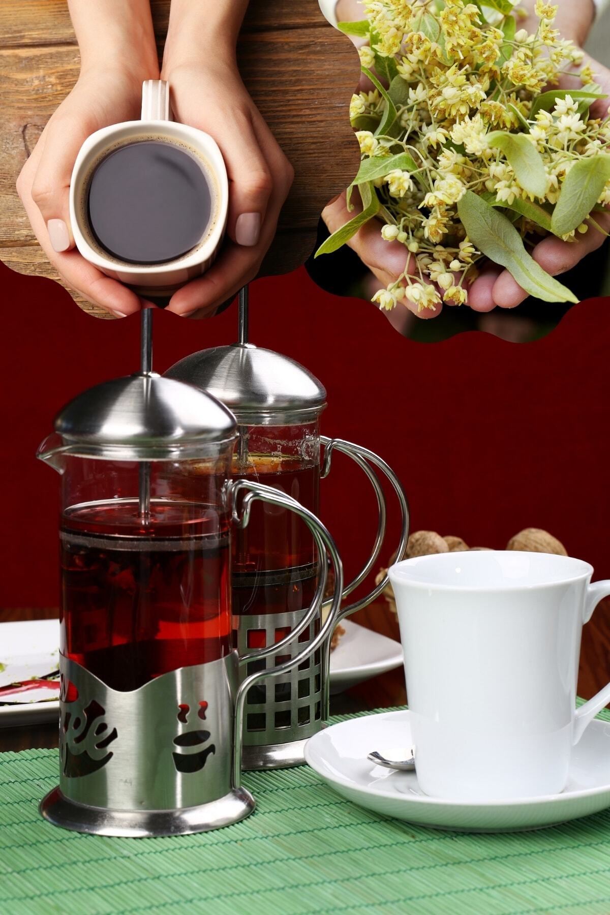 Ersamica 2 Adet Organik Bitki Çayı Demleme Filtre Kahve Çelik Kaplama Lüx Paslanmaz 350ml French Press