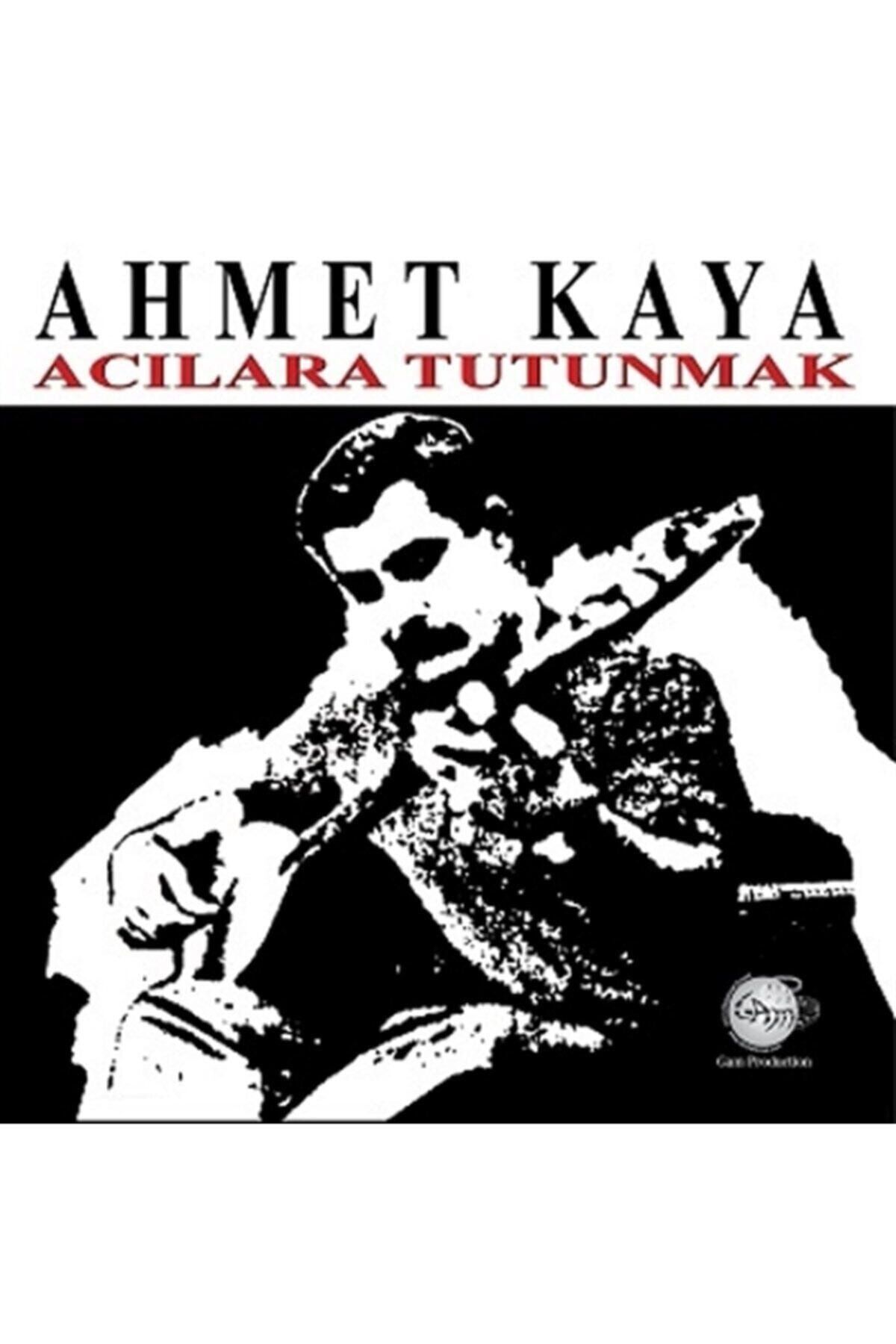 esenshop Ahmet Kaya - Acılara Tutunmak (plak)