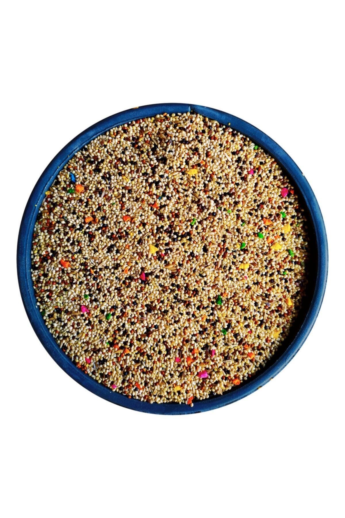 Bizim Yem Muhabbet Yemi - 5 Kg Karışık Vitaminli Meyveli