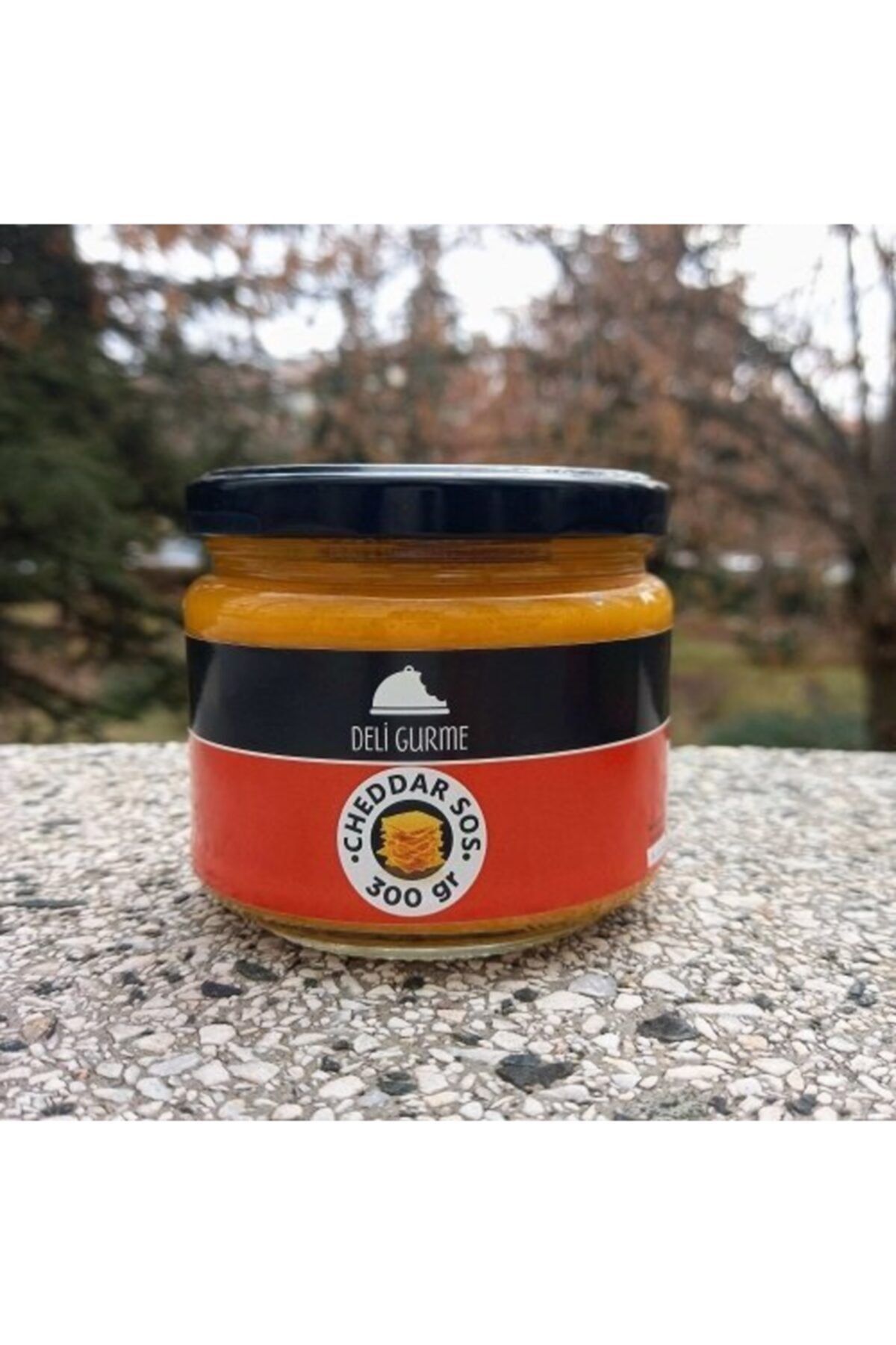 Deli Gurme Cheddar Sos 300 Gr