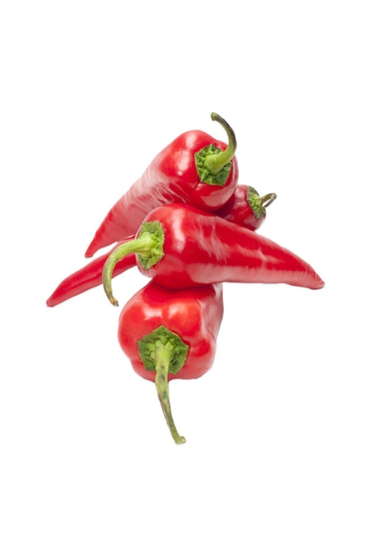 Sebze Meyve Dünyası Kırmızı Biber (500 Gr)