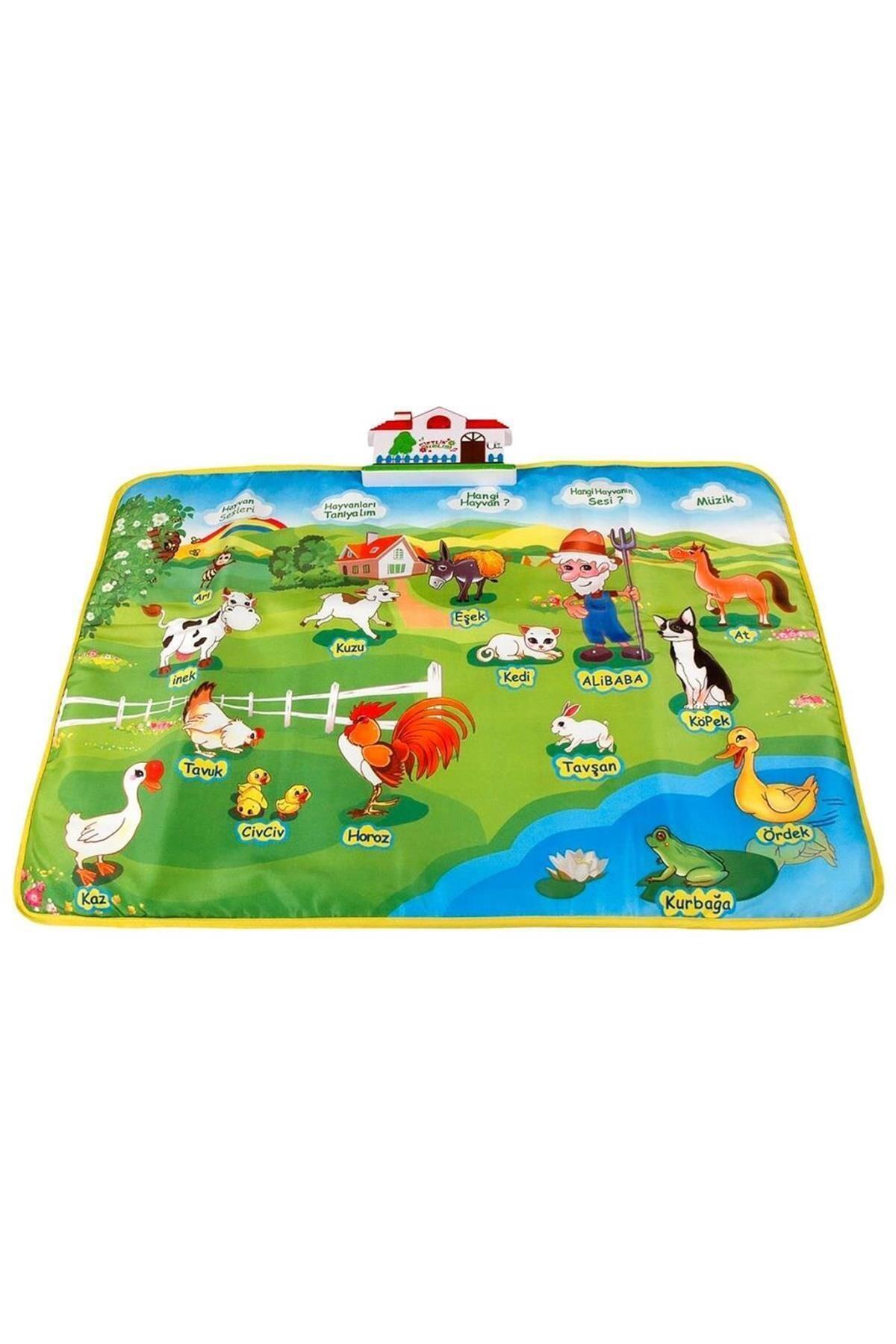 ASMEYAL Eğitici Çiftlik Halısı