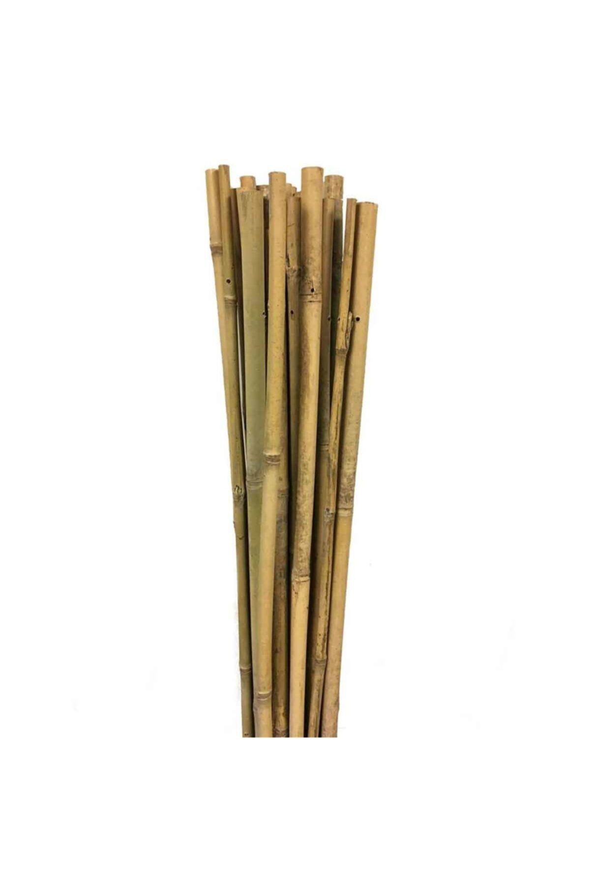 EVGARAJ 10 Adet Bambu Bitki Destek Çubuğu 90 Cm