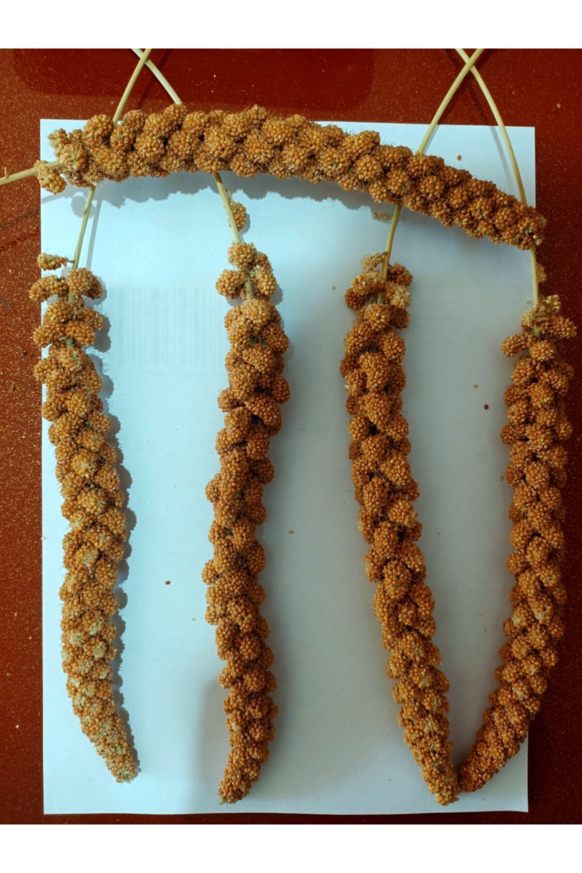 Öz Kayalar Yem Kafkas Kızıl Dal Darı 1 Kg