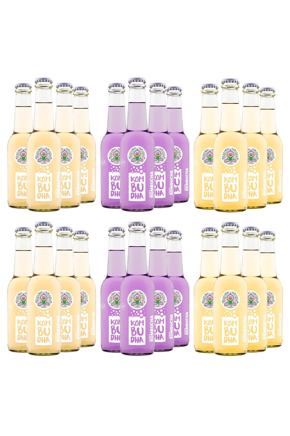 Kombudha Kombucha 24lü-8xnude+8xgold+8xluv