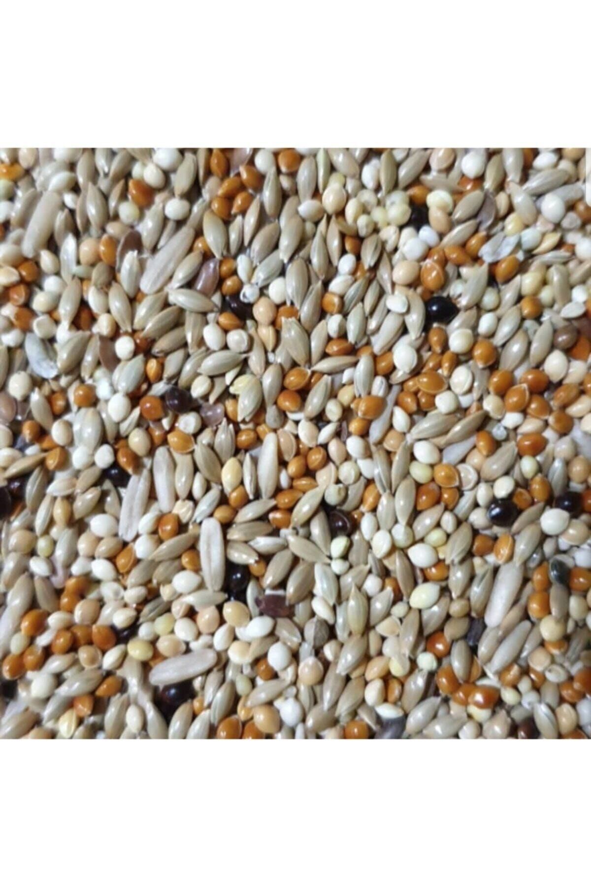 Quiko Premium Karışım Muhabbet Kuşu Yemi 1 Kg