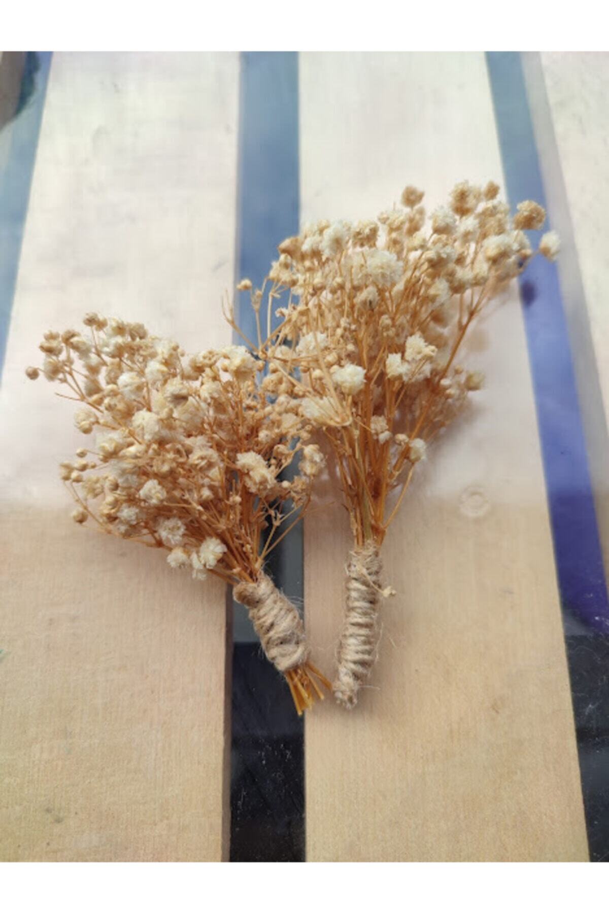 ATÖLYE LETAFET Kuru Cipso Yaka Çiçeği