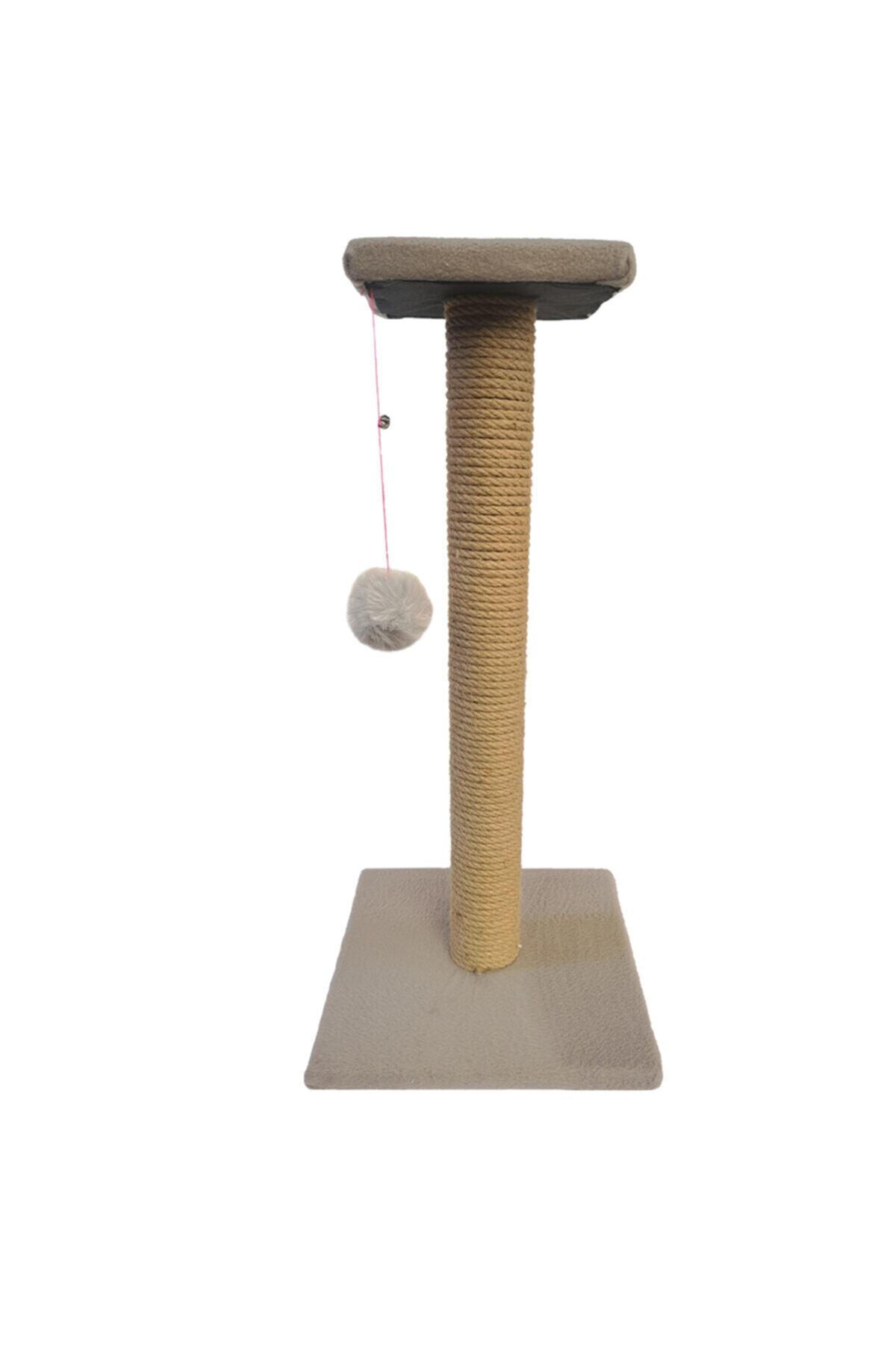 Patiderm Platform Tırmalama Tahtası 50cm