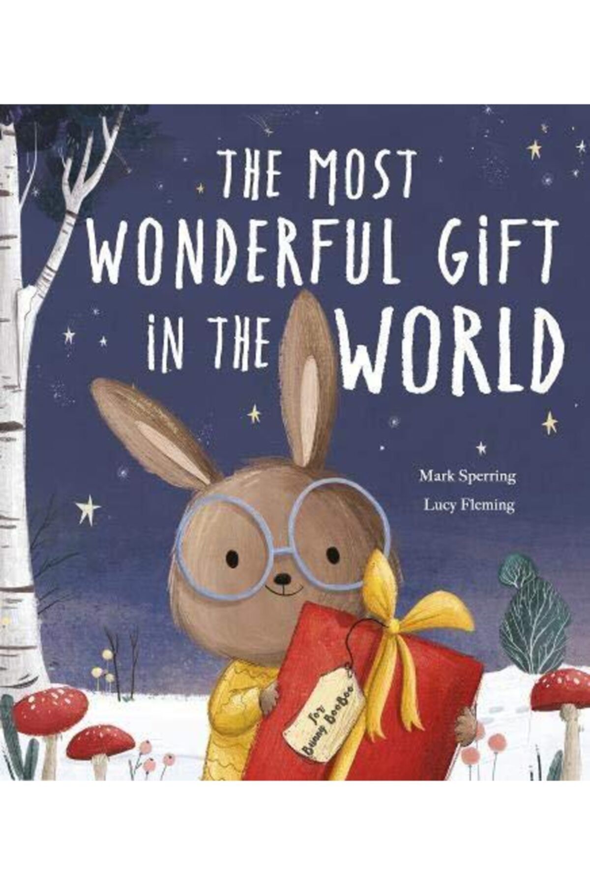 The Milky Books The Most Wonderful Gift