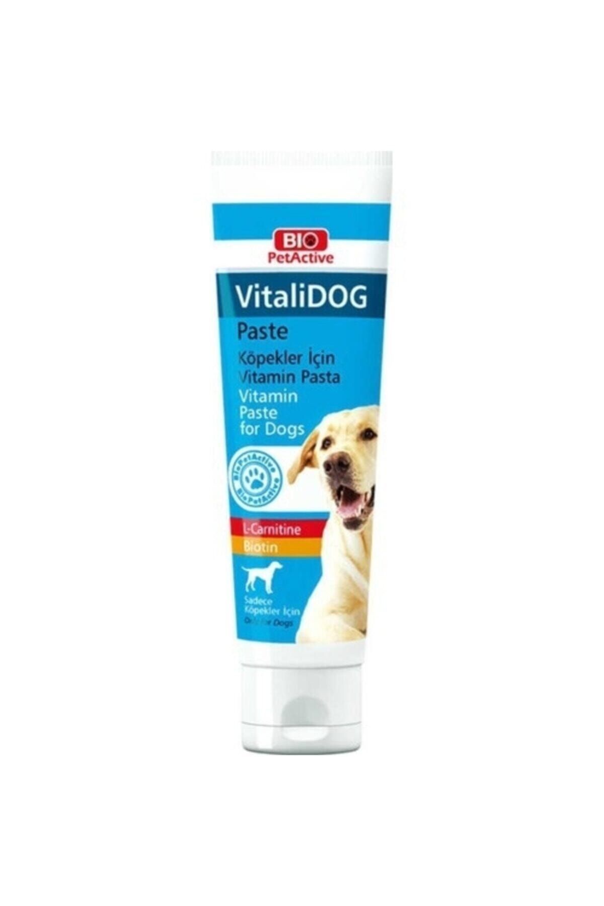 Pet Active Vitalidog Paste Köpek Multi Vitamin Macunu 100 ml