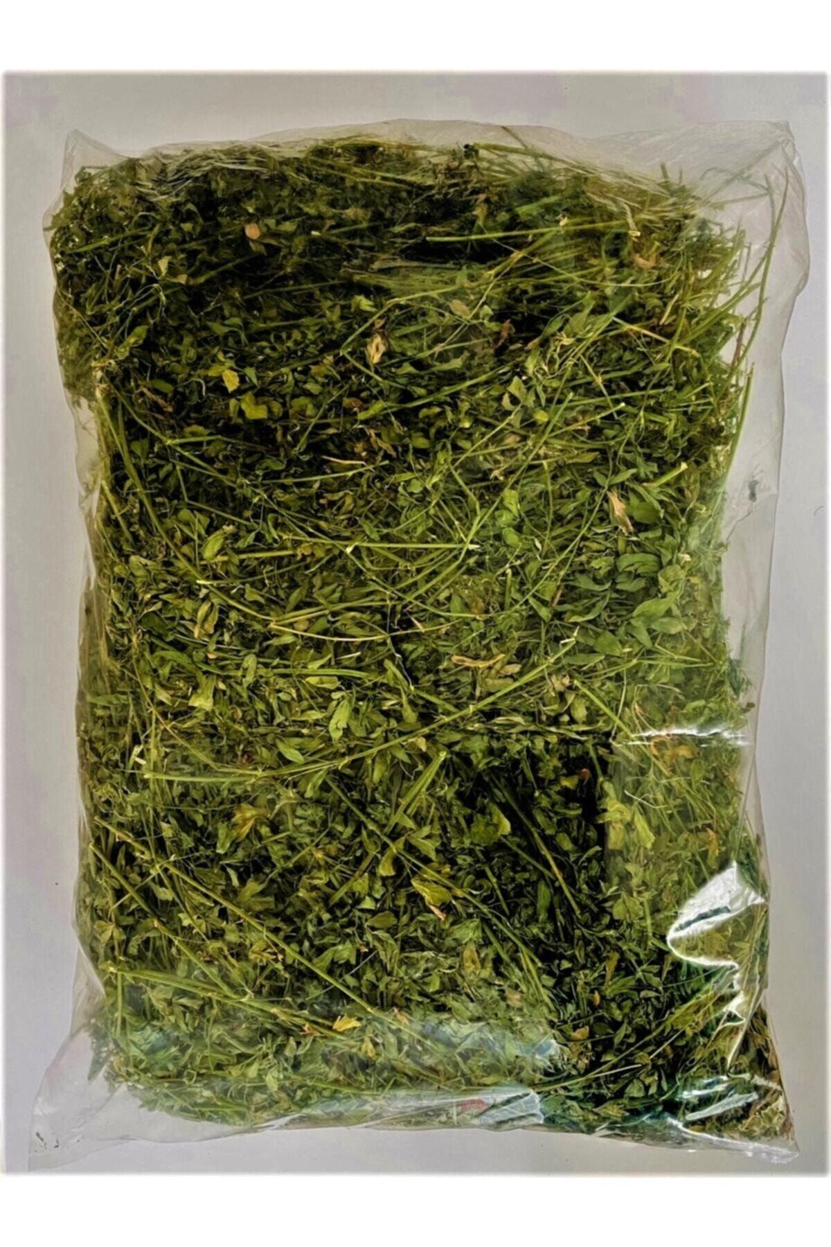 Siesta Box Kuru Yonca Kemirgen Otu 2 Kg Taze Yeşil Yapraklı