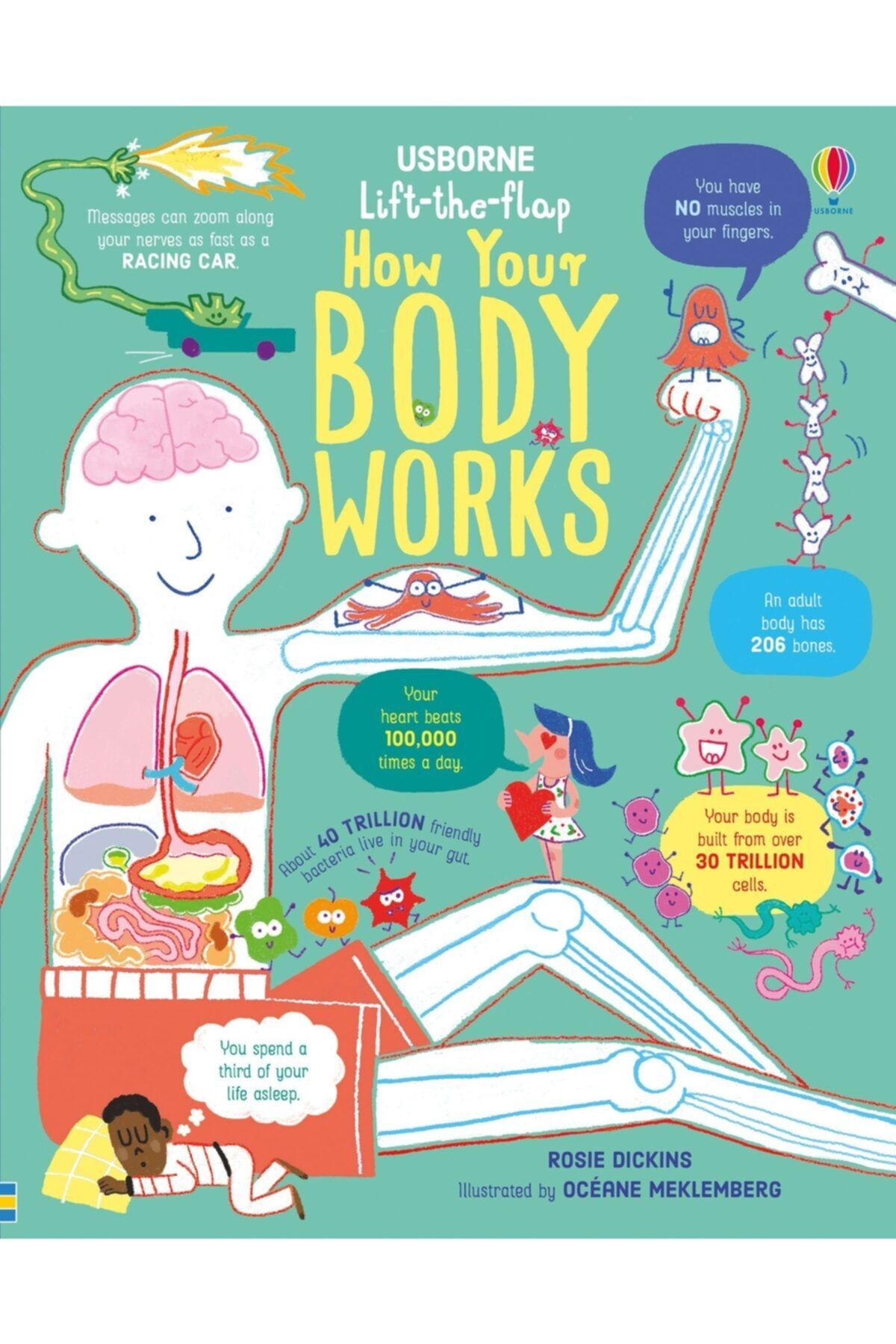 The Milky Books Usborne Lift The Flap How Your Body Works
