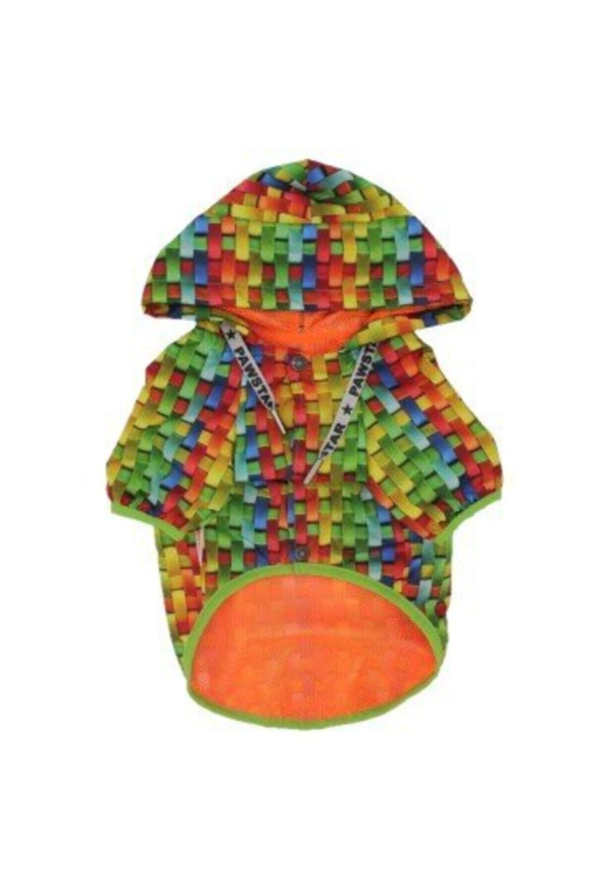 Pawstar Rainbow Desenli Mont